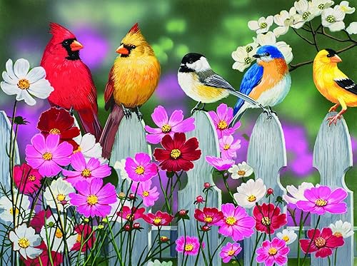 Miniatura 3 de SUNSOUT INC Songbirds and Cosmos - Rompecabezas de 500 piezas
