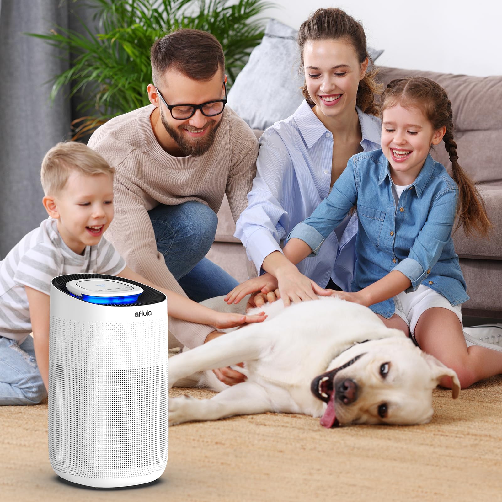 Amazon.com: Afloia Original Replacement Filter for Max Air