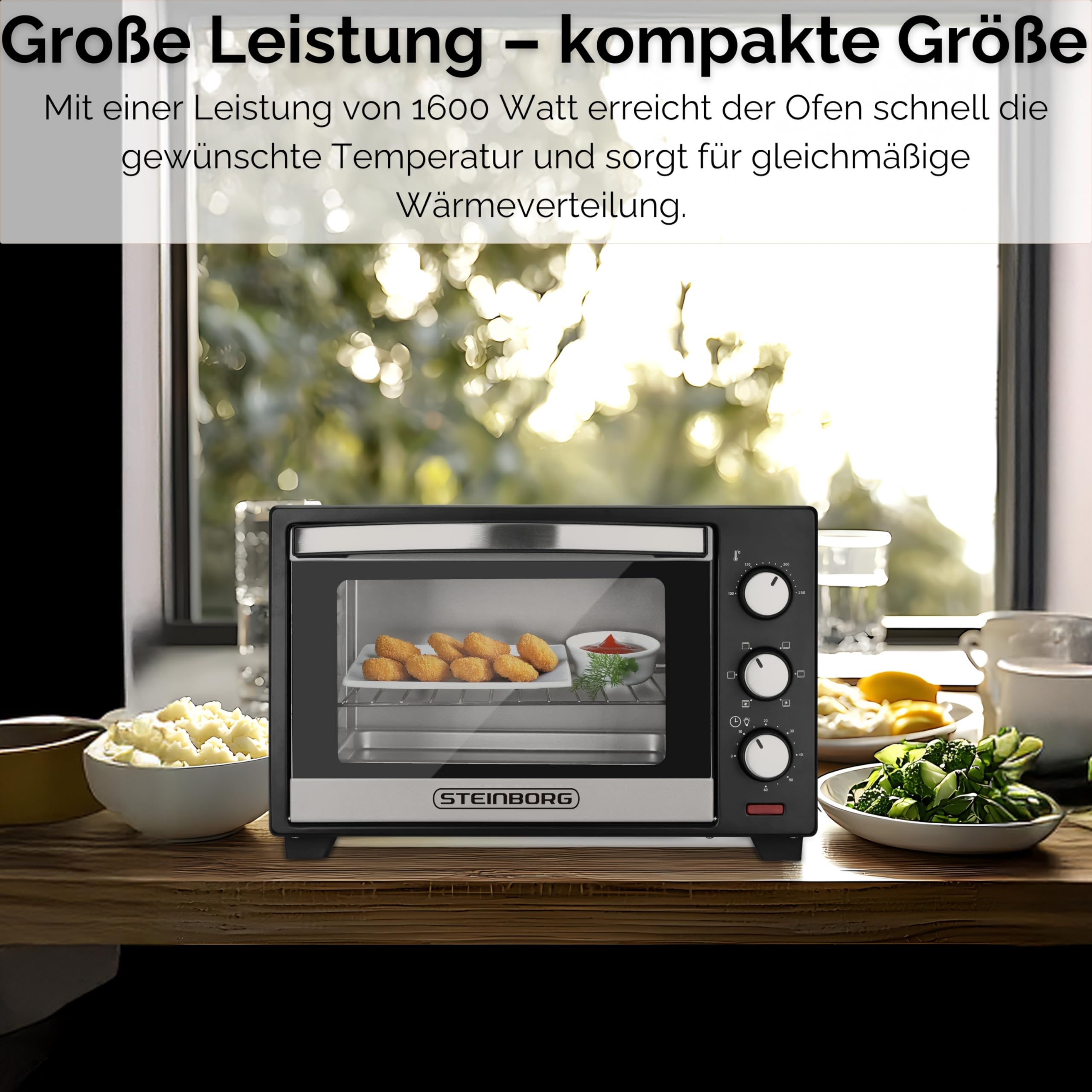 Steinborg® Mini Backofen 25 Liter Miniofen Elektro – Pizzaofen Tischbackofen 3-in-1 mit Ober-/Unterhitze & Umluft Konvektion, 1600 Watt Minibackofen mit 60 Min Timer & Krümelblech