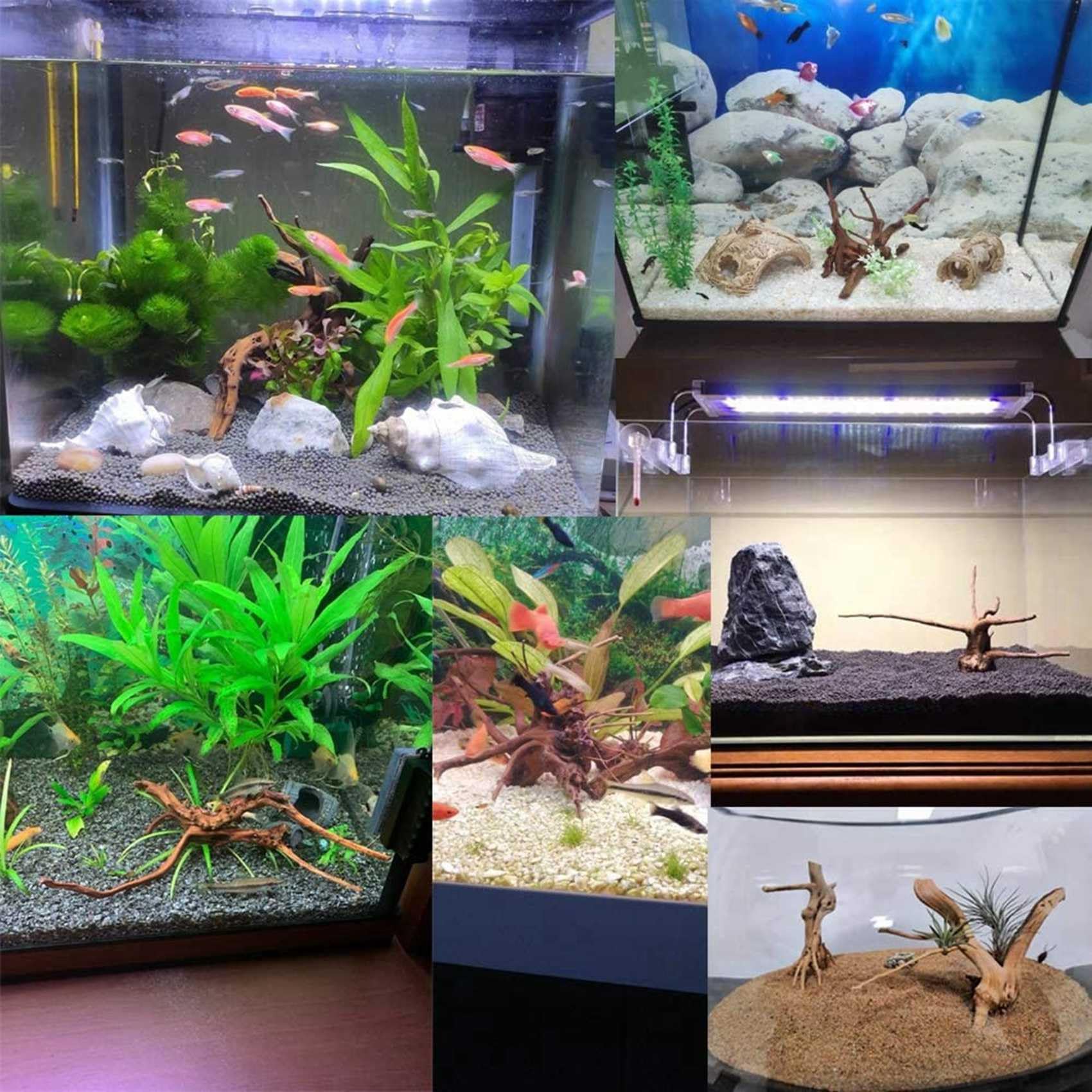 LAXED Mini Driftwood per acquario, rami di legno naturale, decorazioni per acquari, rettili, d'albero in legno naturale, confezione da 10