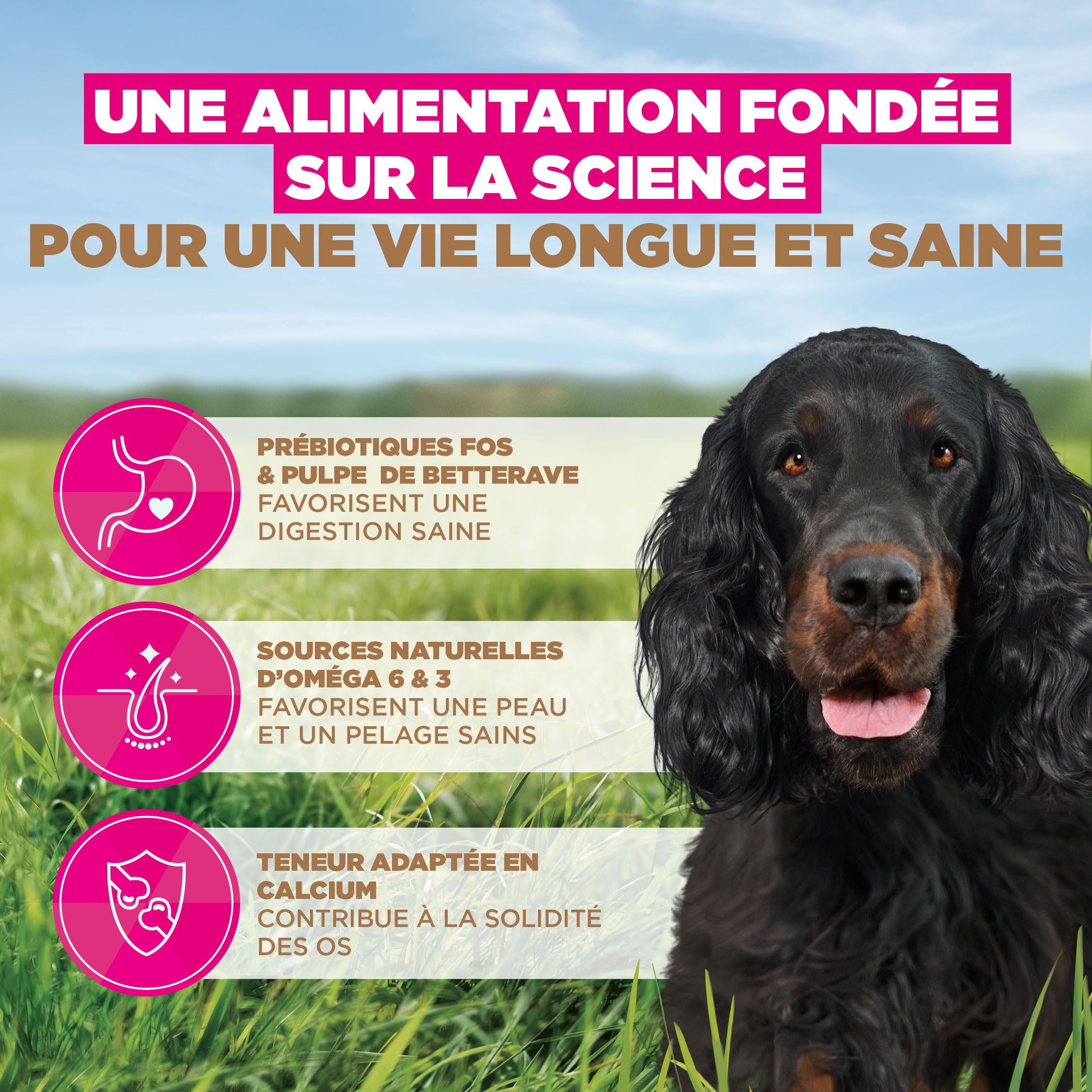 EUKANUBA Chien Adulte sans Céréales Gibier 12 kg