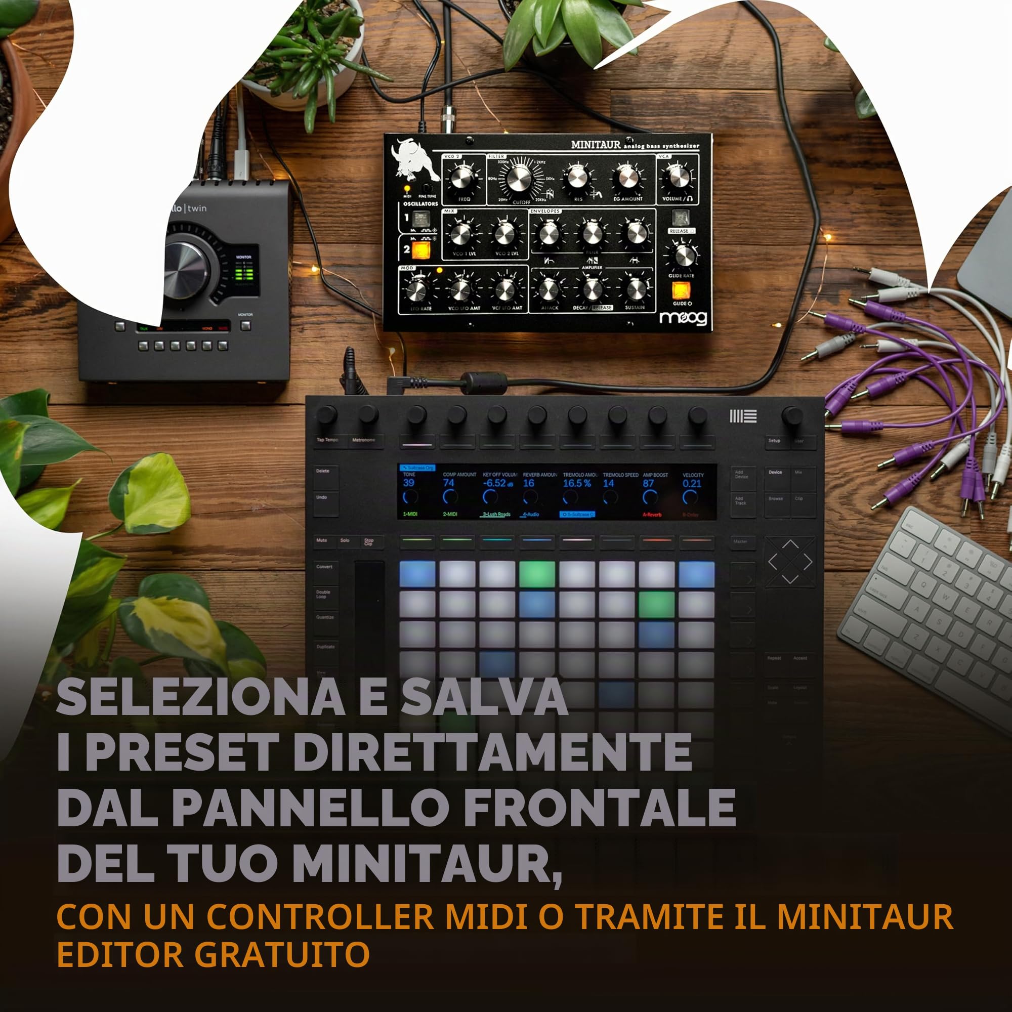 MOOG Minitaur Sintetizzatore Analogico per Bassi | Modulo Compatto con 128 Preset, Amp Cuffie ed Editor Software