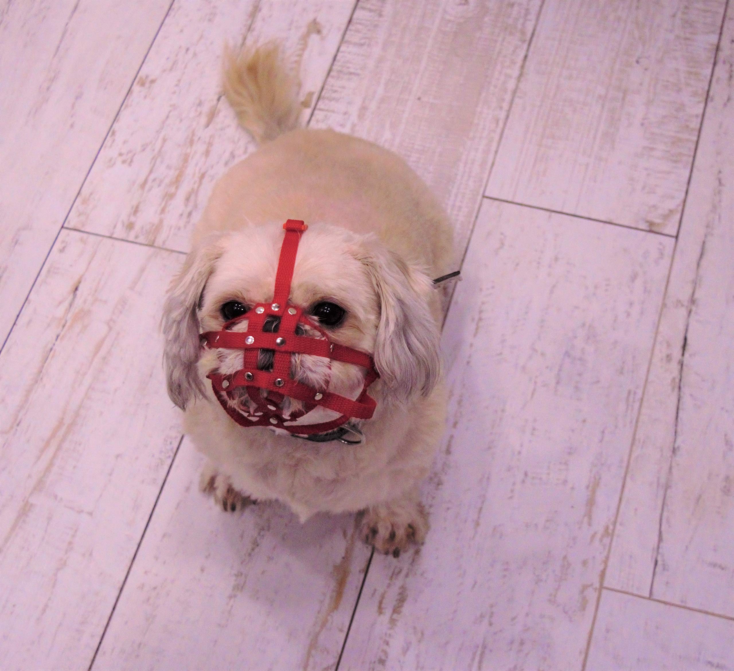 L&J Pets Uk Nylon Strap Dog Muzzle for Shih Tzu, Pug and other flat face faced short snout dogs | Safety and Comfort (M1, Red)