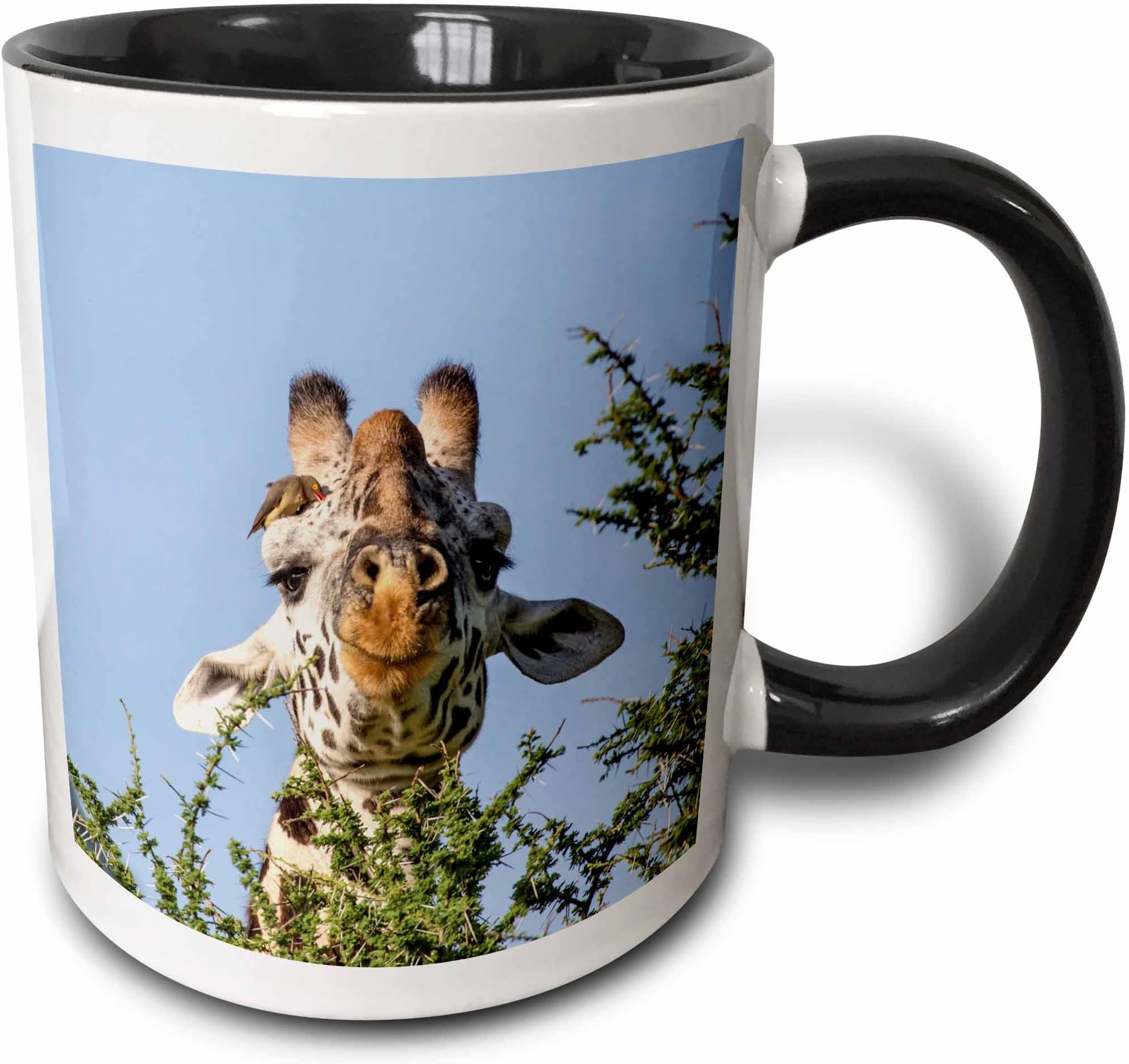 3dRose Danita Delimont - Charles Sleicher - Birds - Africa, Tanzania, Serengeti. Maasai giraffe with Red-billed Oxpecker. - Mugs 11 oz White mug_187486_4