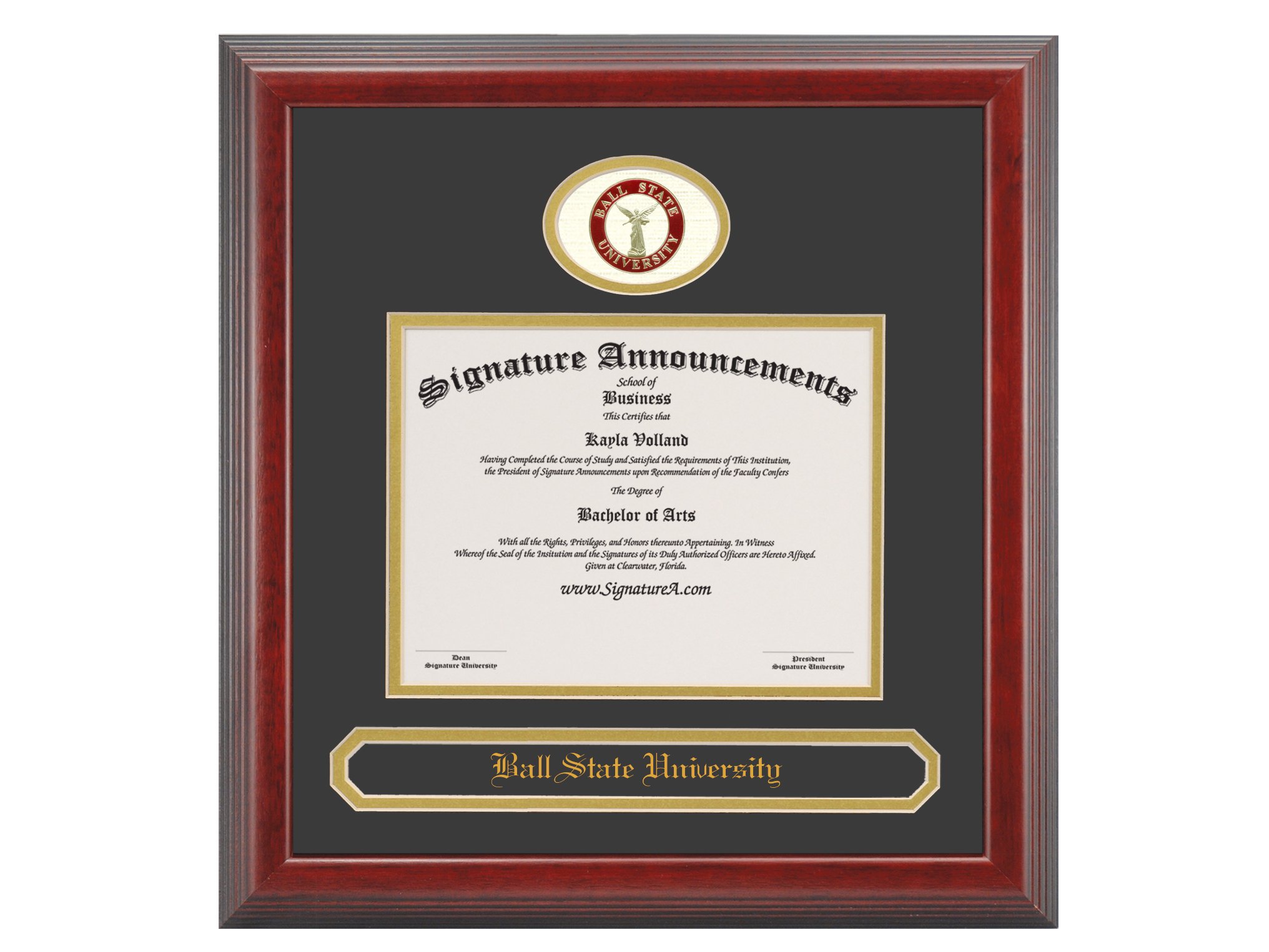 Signature Announcements Ball State University (BSU) Doctorate Graduation Diploma Frame with Sculpted Foil Seal & Name (Cherry, 23 x 24)
