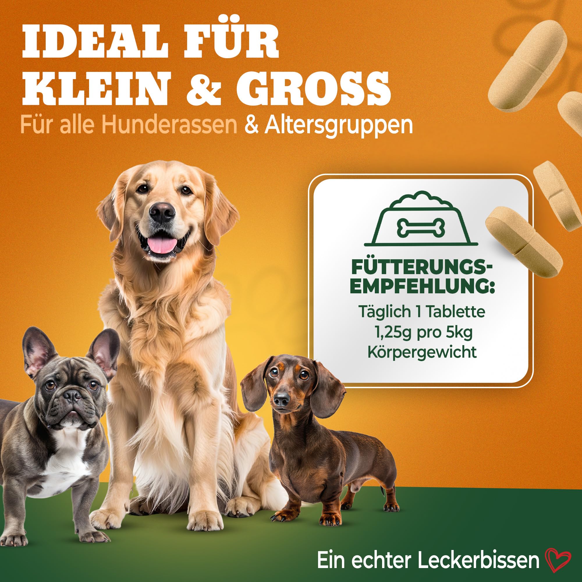 K1 Relax Komplex Beruhigungsmittel für Hunde - Baldrian Hanfsamenöl & L Tryptophan Hund Beruhigung - Hunde Beruhigungsmittel unterstützend bei Angst & Stress - Beruhigung Hund - 120 Tabletten