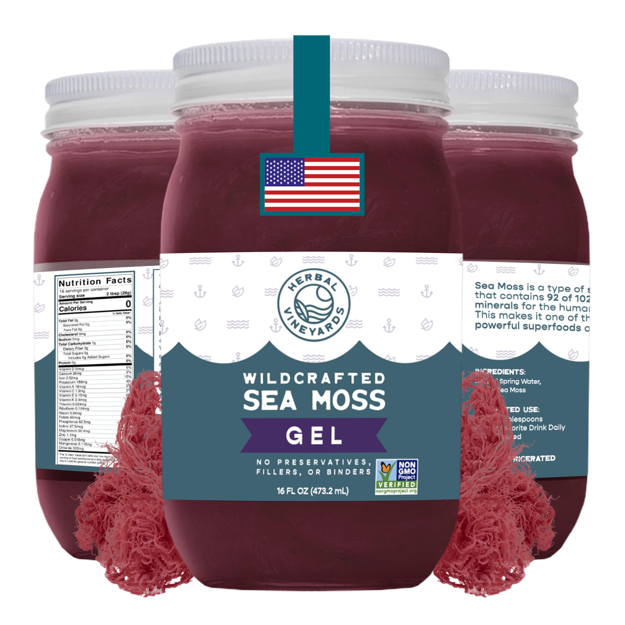 Herbal Vineyards Wildcrafted Irish Purple Sea Moss Gel 16 Oz - Organic Seamoss Gel Made with Dried Seaweed & Fresh Sea Vegetables, Natural & Plant-Based, Harvested in Pristine Waters, USA