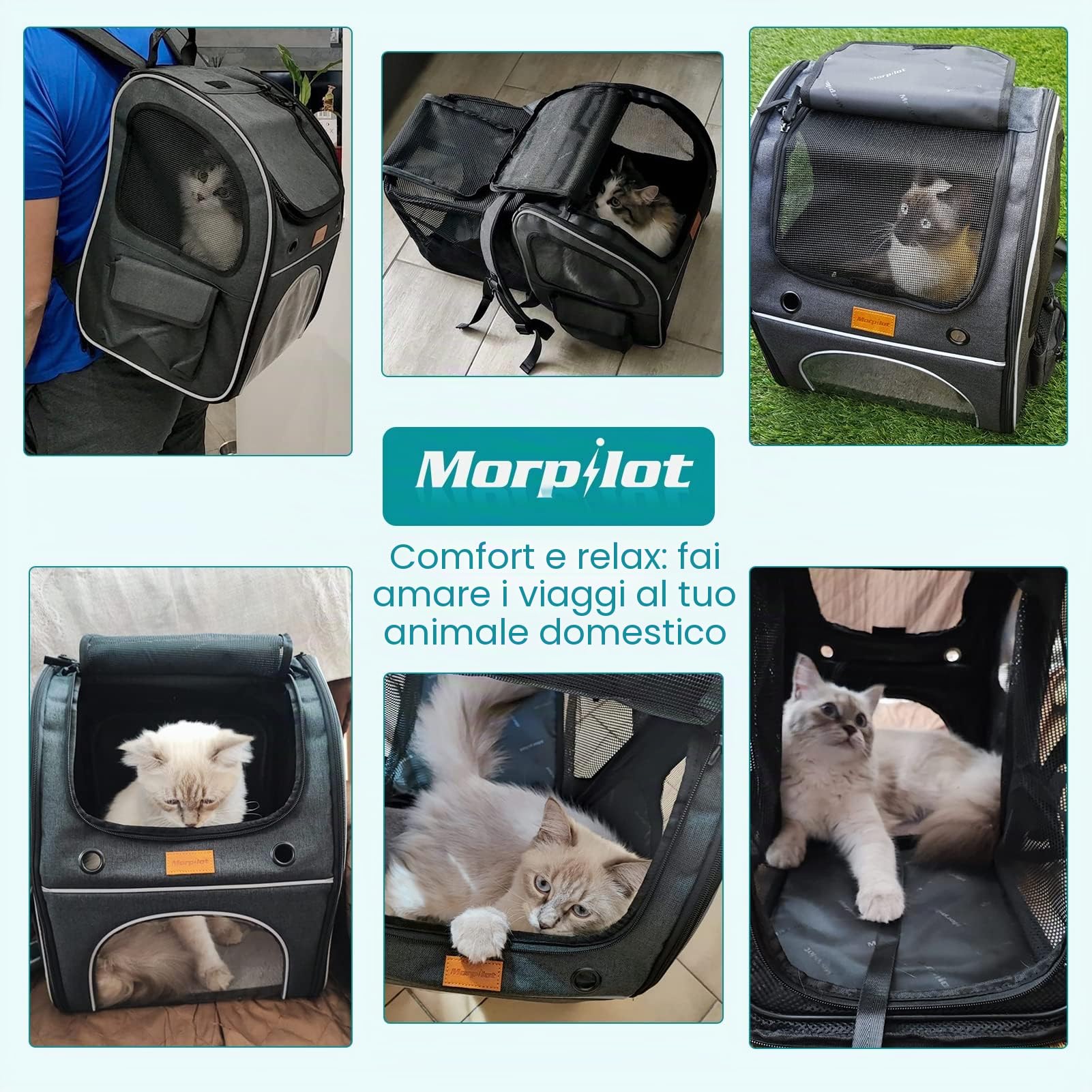 Morpilot Zaino per Gatti Cani Estensibile, Trasportino per Cani Gatti 8 kg, Portatile Zaino Cane Gatto per i viaggi in treno all'aperto