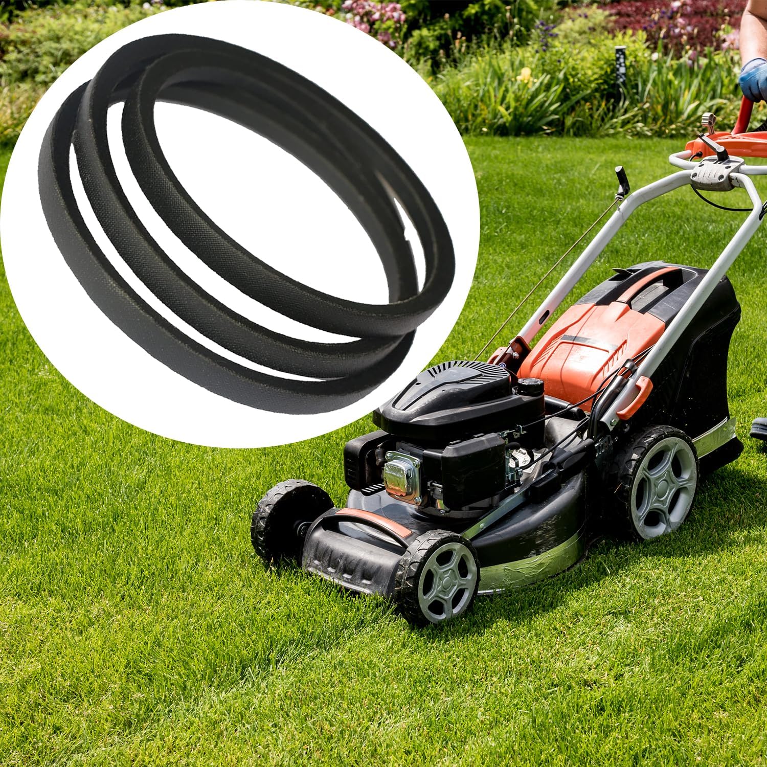 Amazon.com : 115-4669 Drive Belt (3/8