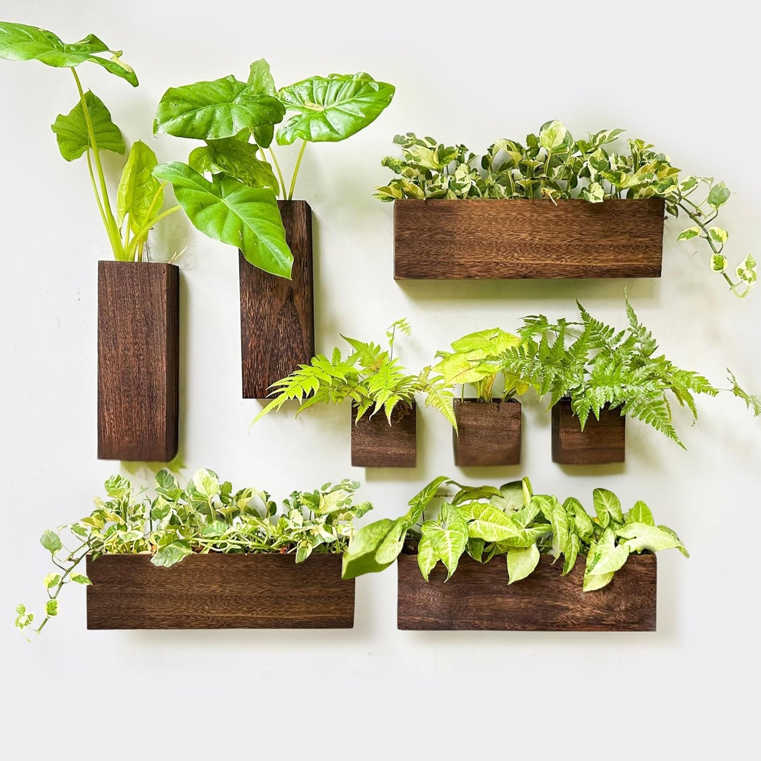 LaLaGreen Wood Planter Box for Plants (8 Pack) Wooden Wall Hanging Planters for Indoor Plant Holder Vase for Dried Flowers, Modern Country Rustic Wall Decor Living Room Bedroom Office Home Garden Brown x 8-pc set