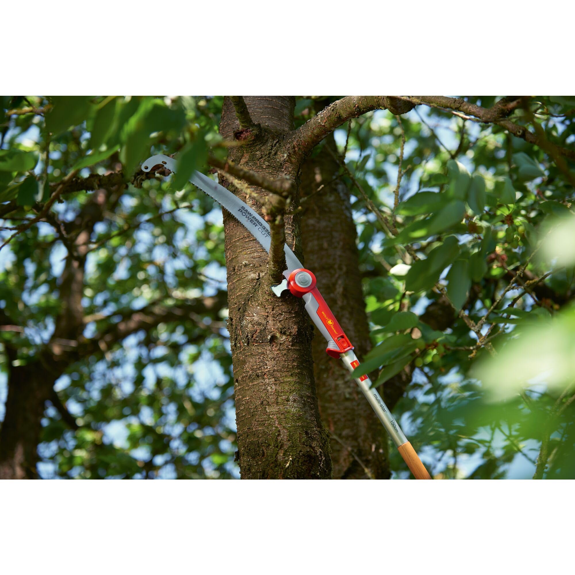 WOLF-Garten multi-star - Sega per potatura professionale - Power Cut SAW PRO 370