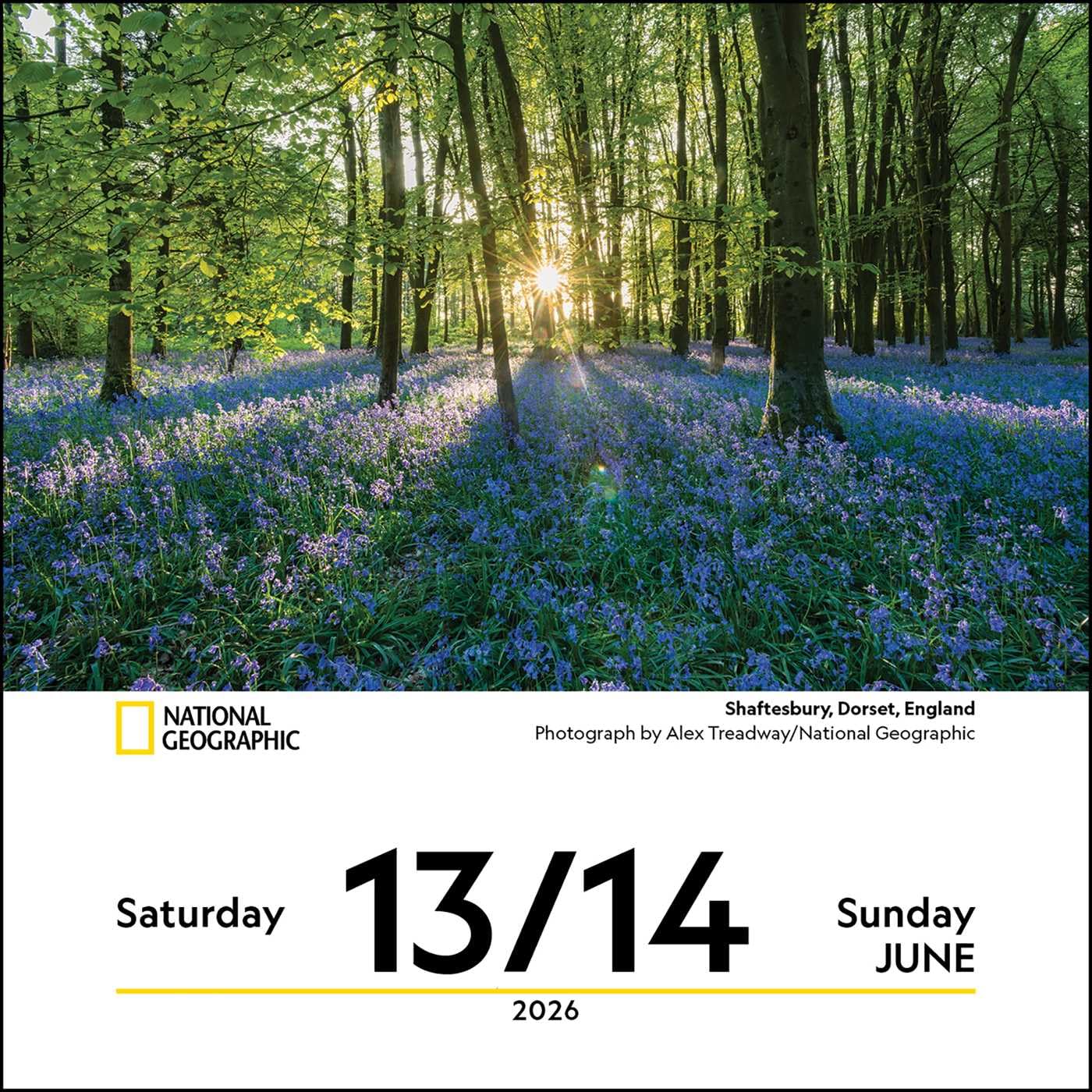 National Geographic: Nature 2026 Day-to-Day Calendar - Image 4