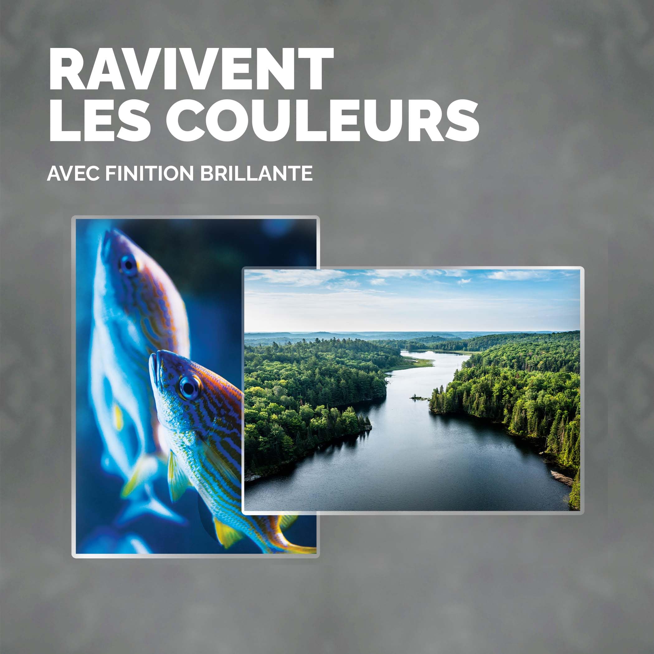 Fellowes Capture Pochette de plastification 125 microns 54 x 86 mm