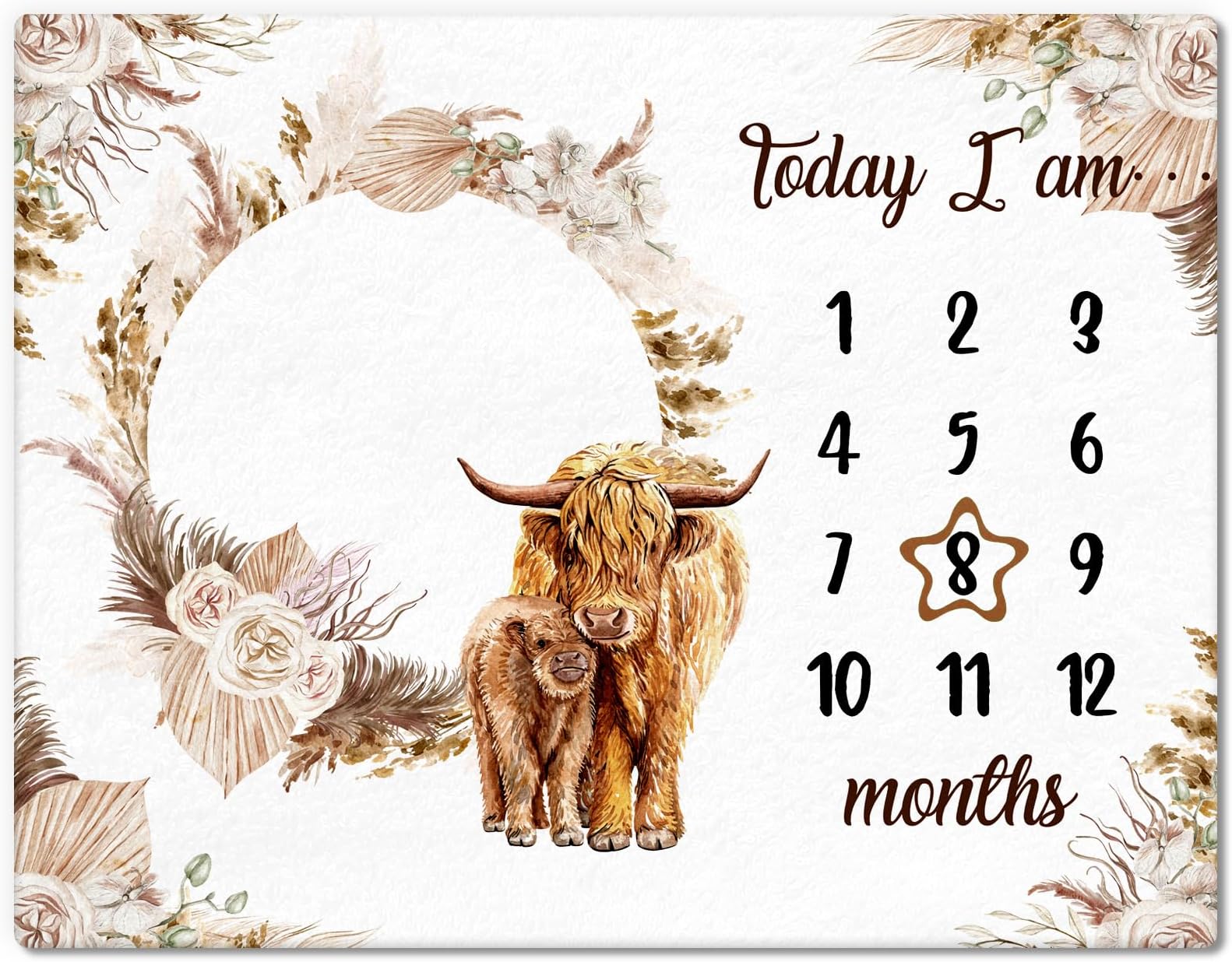 Baby Monthly Milestone Blanket