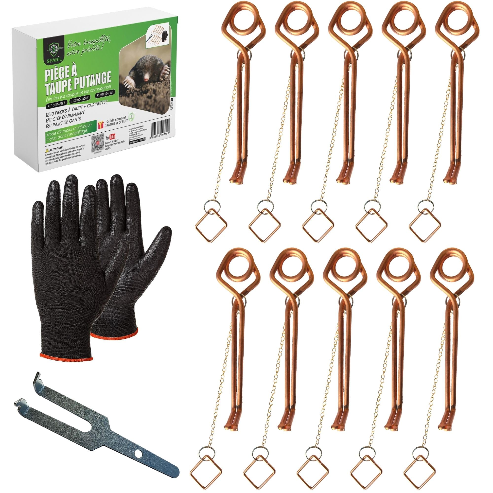 Piège à Taupe Putange Lot de 10 - Campagnol et Rat Taupier Éliminés sans Fumigène ni Poison - Kit Pro Gants + Clé d'Armement + Guide Vidéo