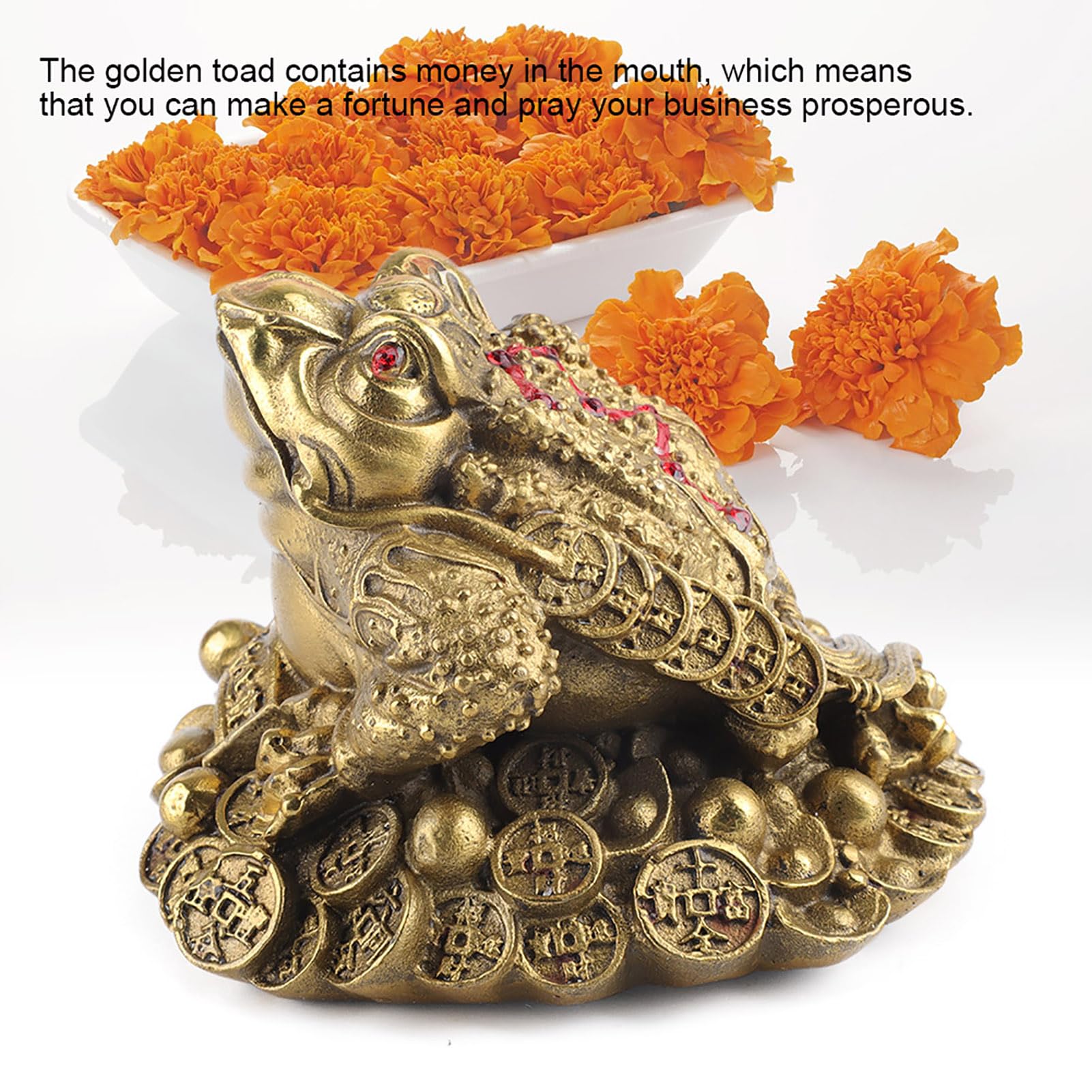 Geldfrosch Messing Glückskröte Feng Shui Dreibeiniger Reichtum Traditioneller Frosch für Wohlstand Home Office Feng Shui Dekor((1))