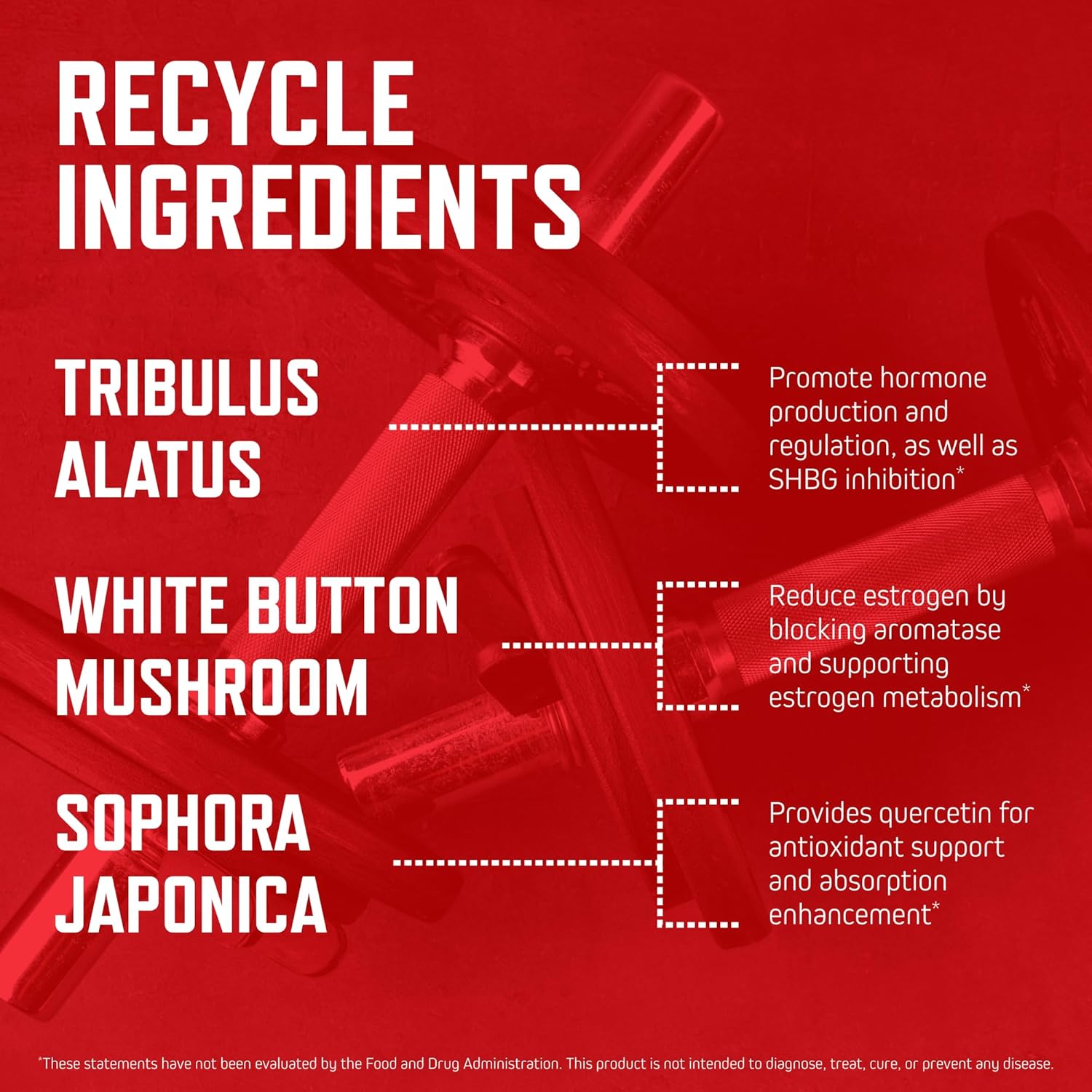 Purus Labs Recycle, 100 Gelatin Capsules | Hormone Optimization | 25 Servings