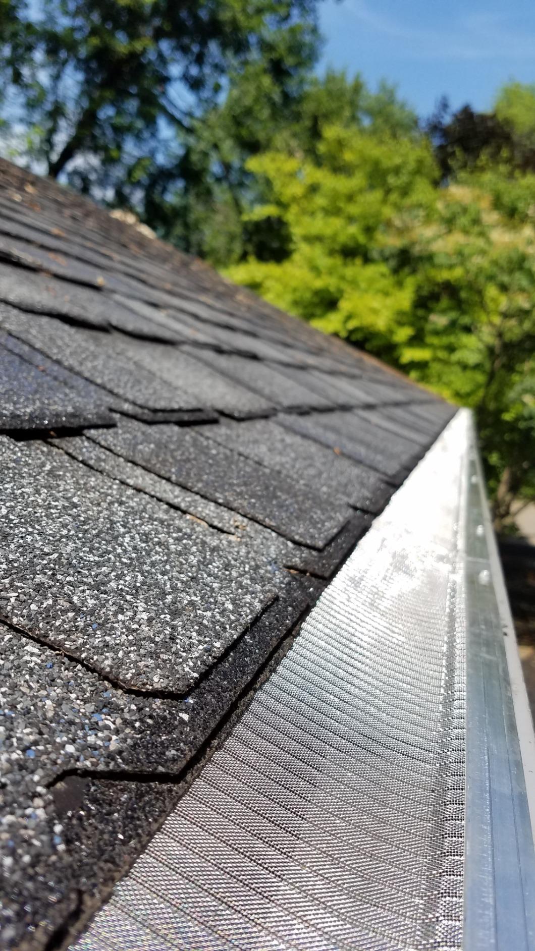 Raptor Gutter Guard
