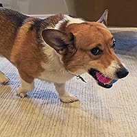 Vista 17 de Bola de juguete para perros Ethical Pets Sensory Ball, 2.5", Colores Variados