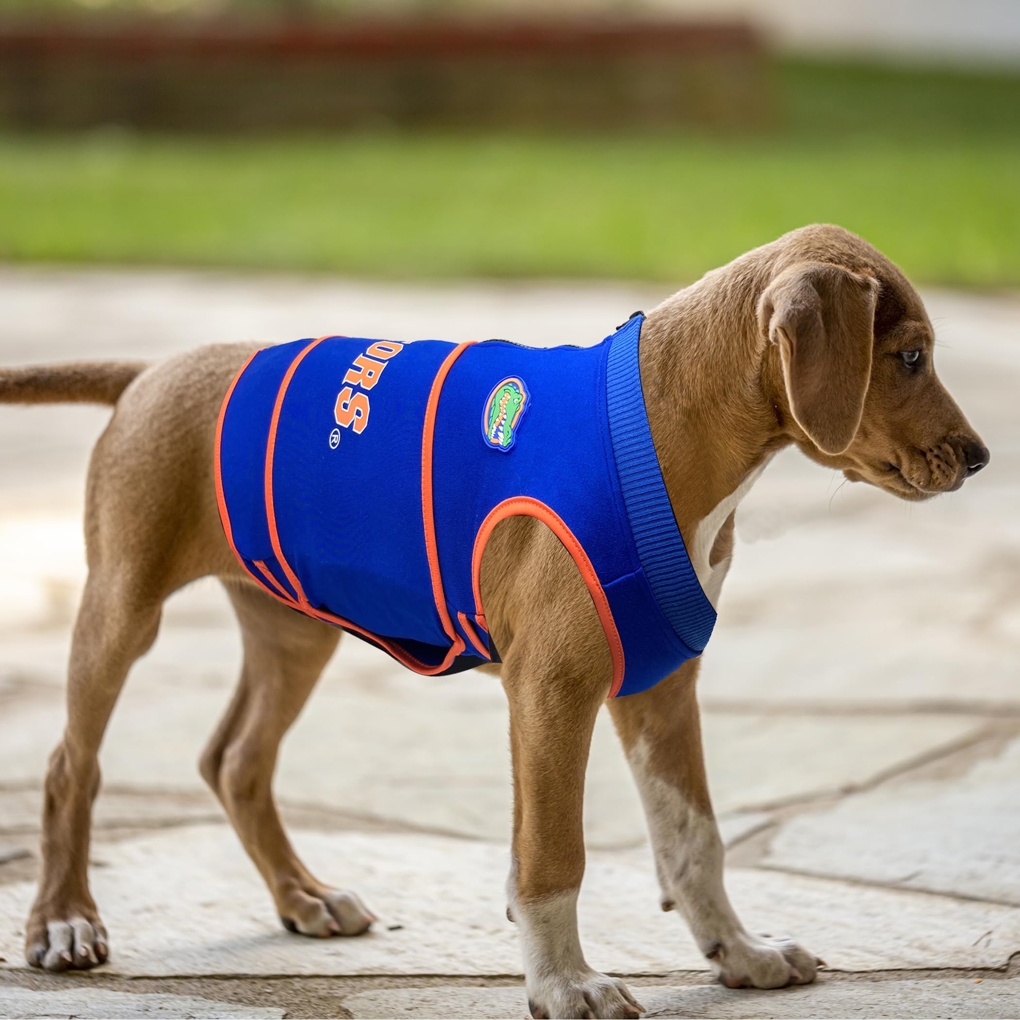 NCAA Florida Gators - Chaleco calmante para la ansiedad para Perros, para Perros y Gatos con ansiedad, miedos, Fuegos Artificiales, Ruidos Fuertes, Oscuro, Solitario, Mantiene a los Perros tranquilos