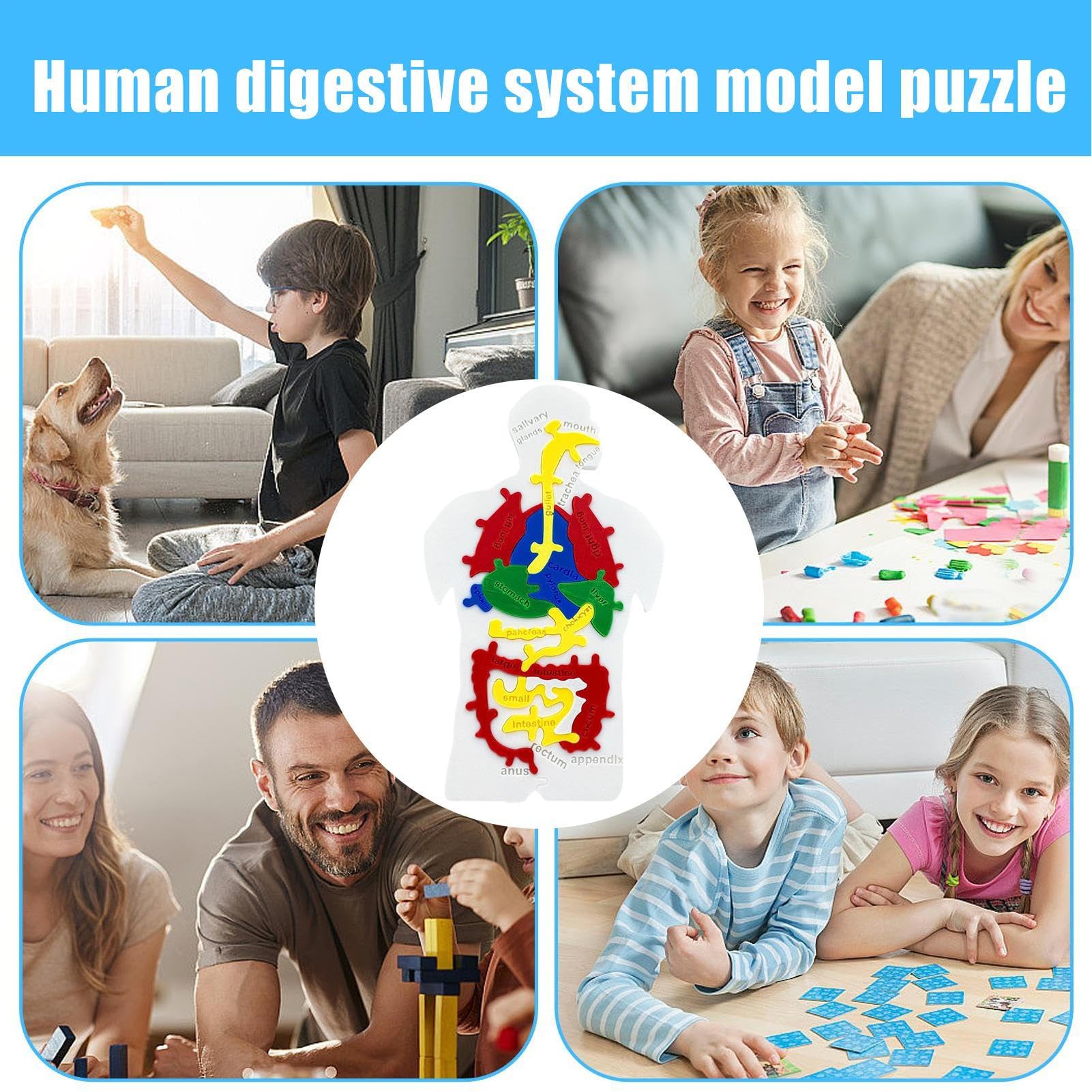 ERINGOGO Puzzle Corps Humain – Organes Internes En Bois – Éducatif Dès 3 Ans – Modèle 22,4 X 17,8 Cm