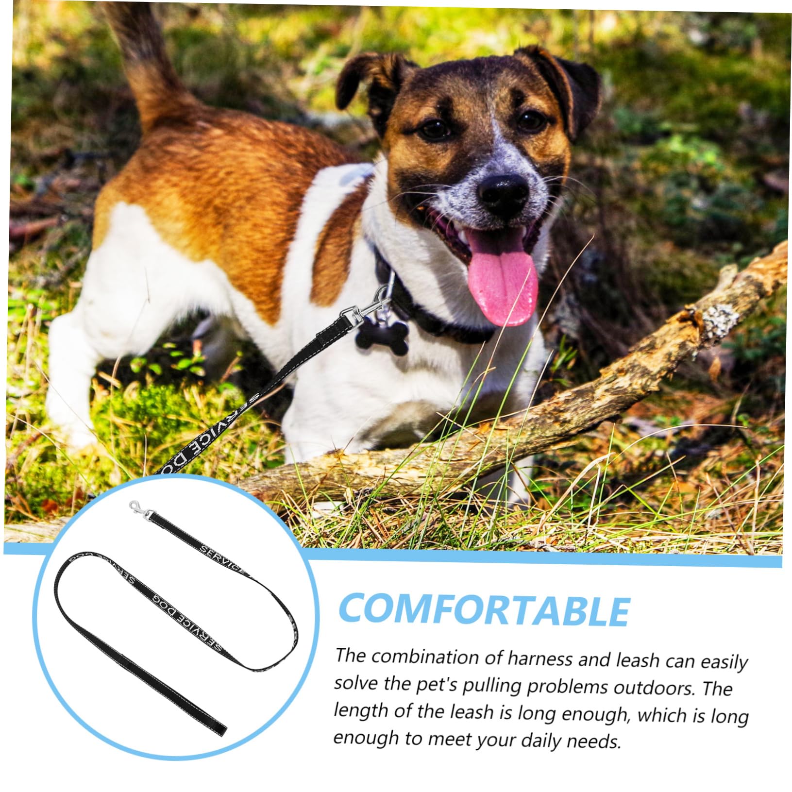 BESPORTBLE 5piezas Correa De Perro Portable Arnés Multi-Funcional Ligero Suministros para Cachorros para Paseos Al Aire