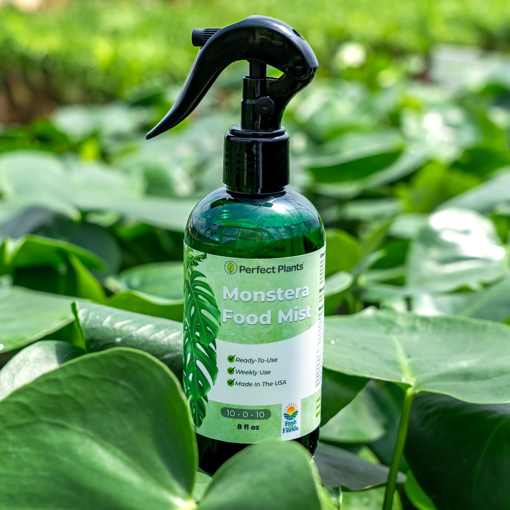 Amazon.com : Monstera Foliar Food Spray by Perfect Plants | Natural Indoor  Plant Mist for Garden Foliage | 10-0-10 Fertilizer Nutrient Blend (8 fl oz)  : Patio, Lawn & Garden