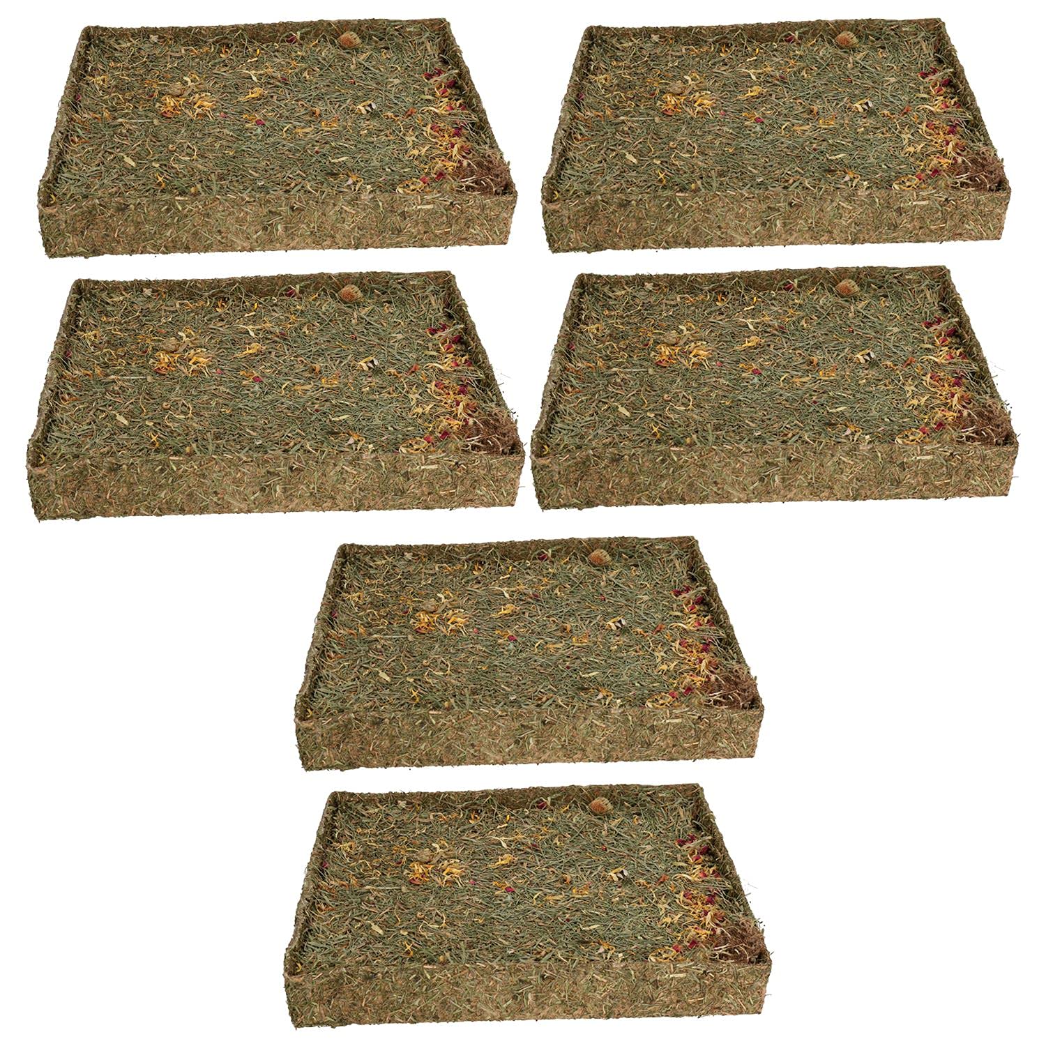 AB Tools 6 PK Piccolo Animale Pet Treat Coniglio Porcellino d'India, Nibble 'N' Dig Prato