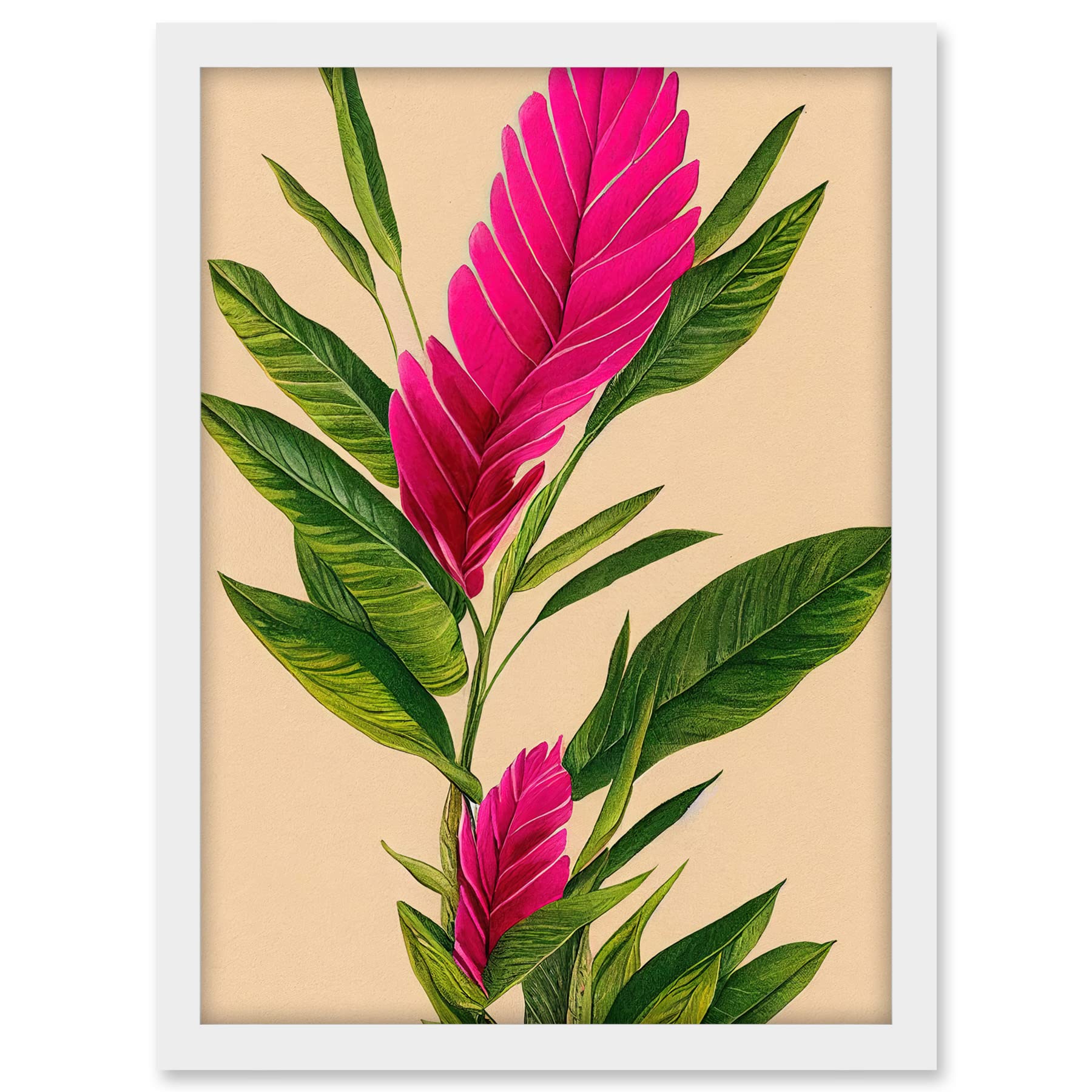 Wee Blue Coo Tropical Hawaiian Botanical Exotic Pink Floral illustration Artwork Framed A3 Wall Art Print