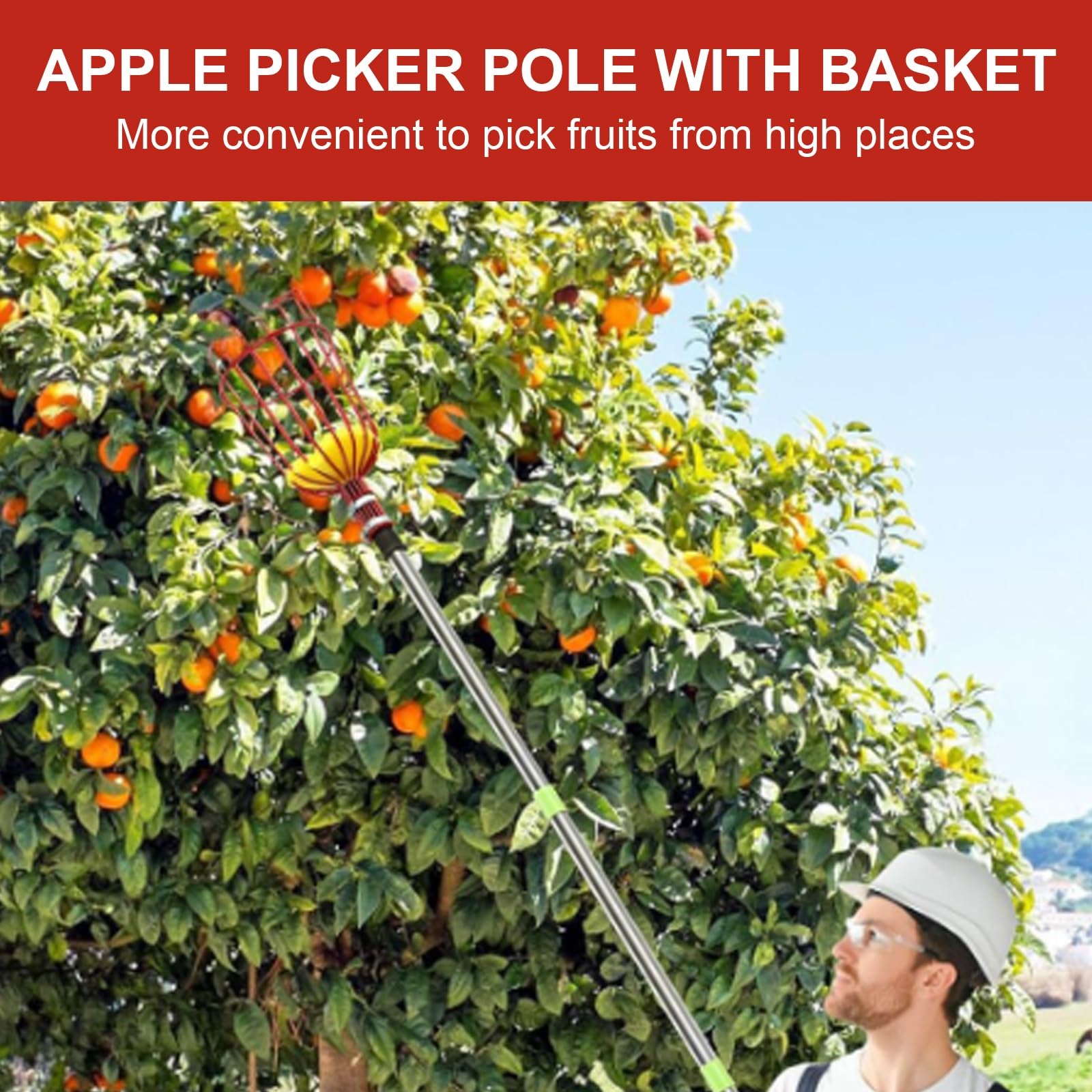 Obstpflückstange, Obstpflückerstange mit Korb, Schaumstoff-Schutzpolster, Obstbaumpflücker aus Edelstahl for Apfel, Birne, Zitrone, Orange(2m)