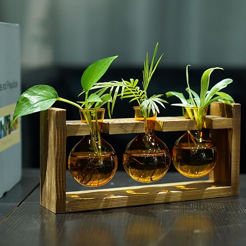 Miniatura 9 de Kingbuy - Florero de vidrio en forma de bulbo con soporte de madera maciza estilo retro, para plantas hidropónicas, decoración de jardín o boda