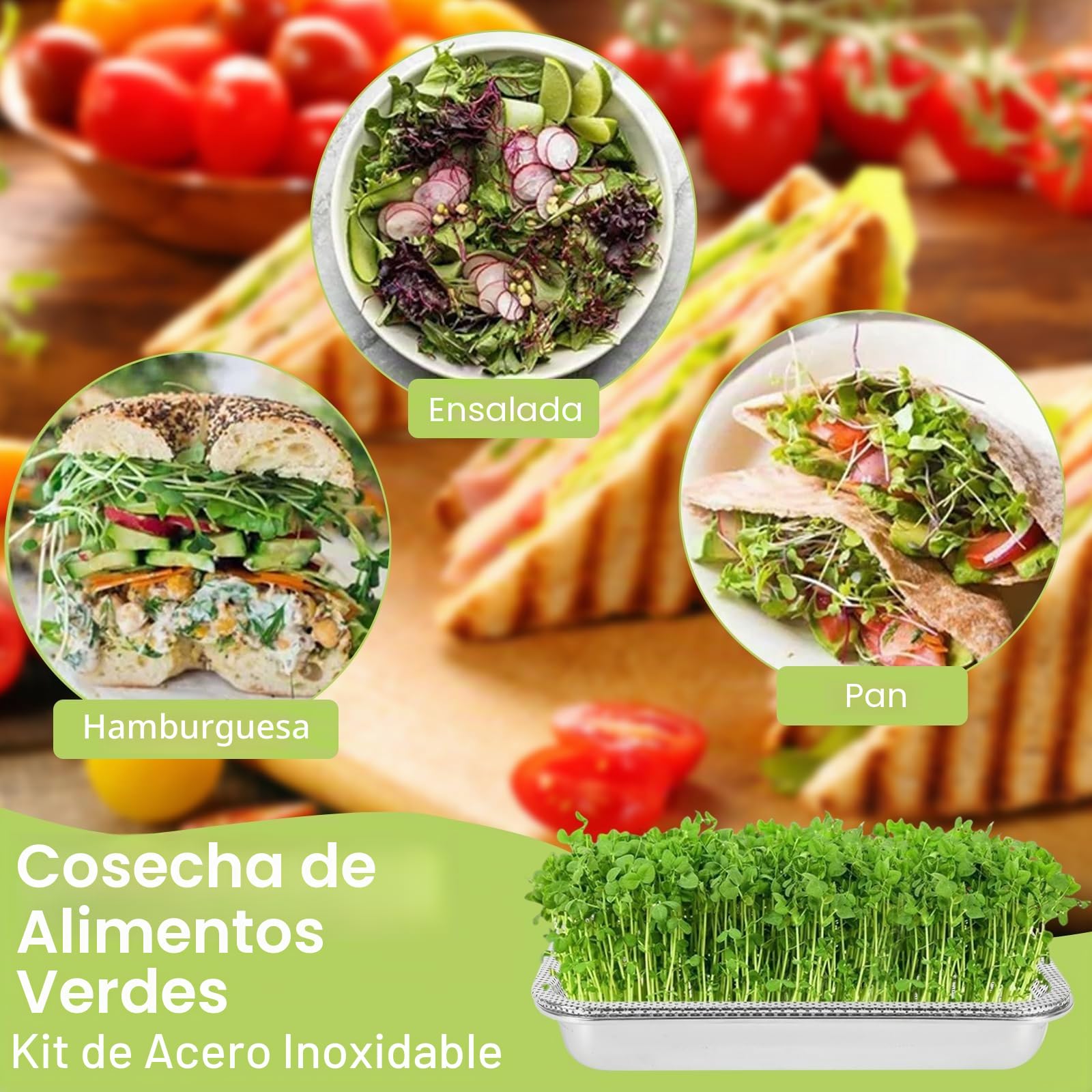 2 in 1 Bandejas de Germinación en Acero Inoxidable con Bandeja Colador, 32 x 22 cm Germinador de Semillas para el Cultivo de Brotes Bio, Hierba de Gato, Berros, Cultivo Hidropónico