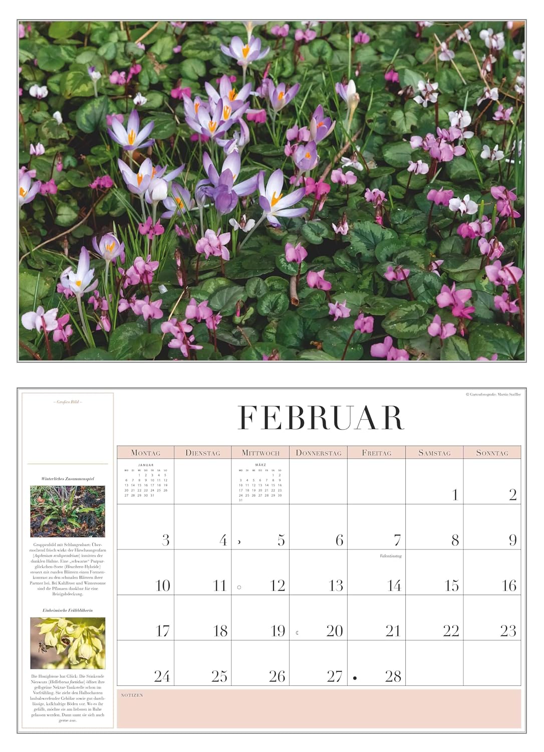 Garden Calendar 2026 – Brochure Calendar – with Informative Texts – with Year Planner – Format 42 x 29 cm      Calendar – Wall Calendar, May 1, 2025