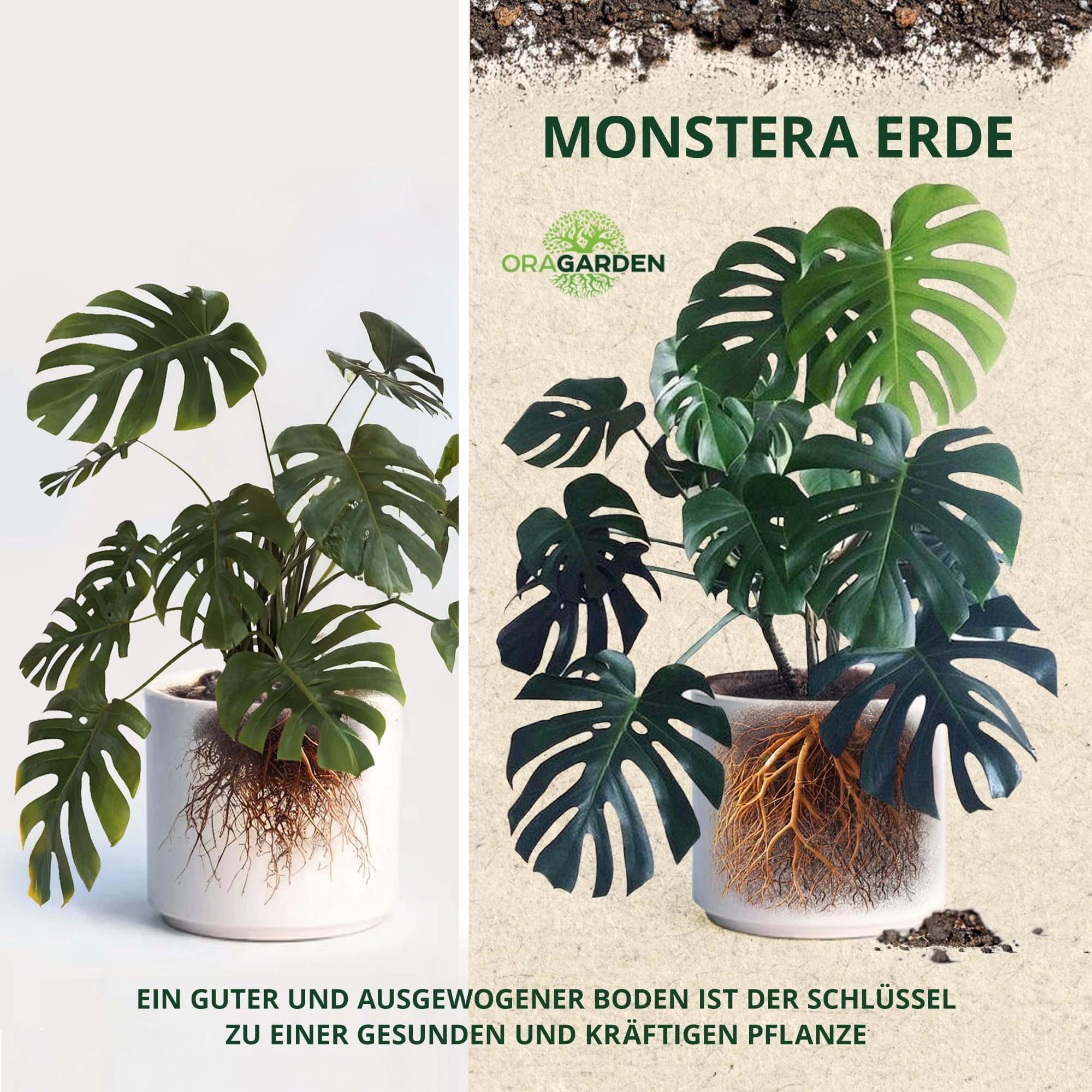 ORAGARDEN Monstera Erde fr Zimmerpflanzen und Garten - 48L Monstera  Substrat fr Pflanzen, Palmen, Blumen - 5 Komponenten Blumenerde :  Amazon.de: Garten