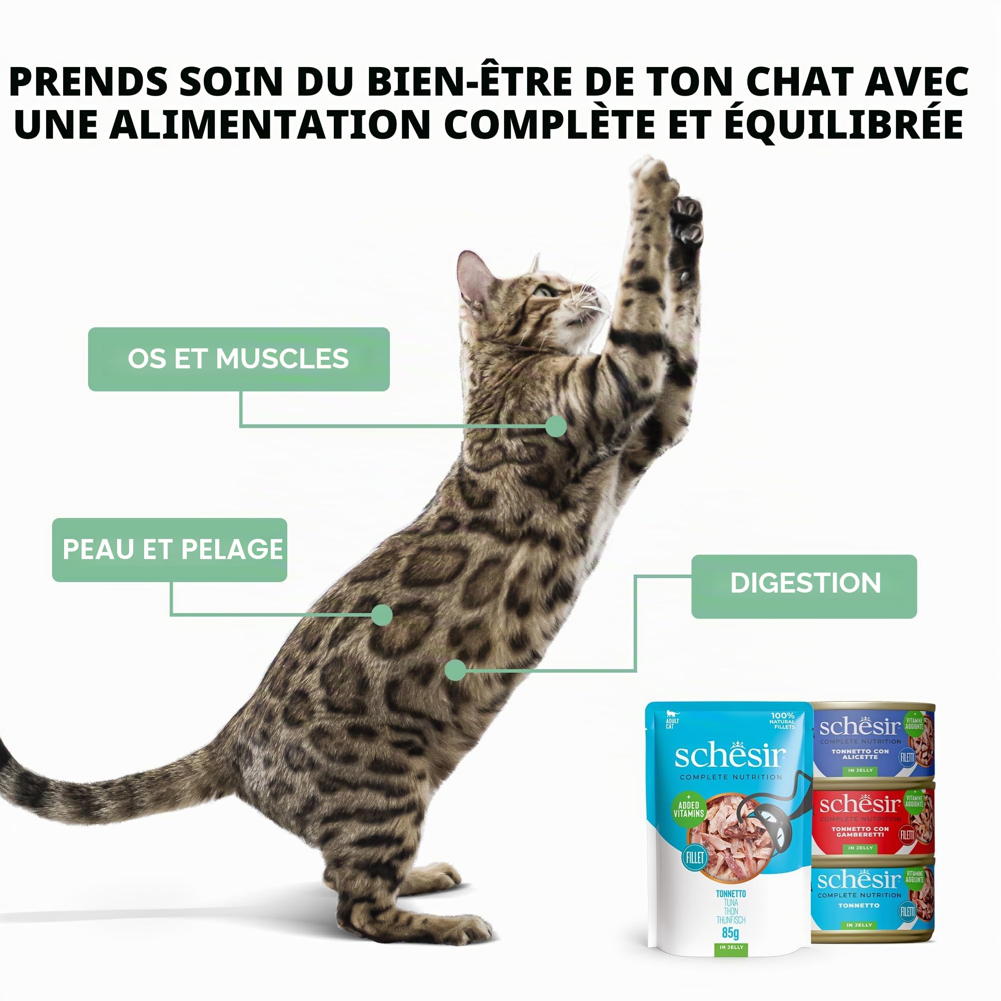 Schesir, Thon avec alicette en Bouillon, Nourriture Humide complète pour Chats, en Conserve, avec des vitamines supplémentaires, 100% Naturel, 6 x 85 g