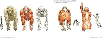 Amazon.co.jp: 幻獣デザインのための動物解剖学 : テリル・ウィット Amazon.co.jp: 幻獣デザインのための動物解剖学 : テリル・ウィット