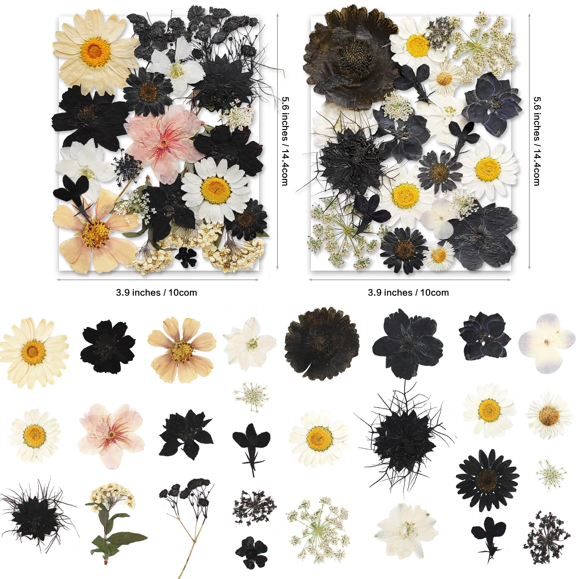 YouthBro 140Stück Schwarz Weiß Getrocknete gepresste Blumen mit Schmetterling Aufkleber für Echte Natur Blumen Set für Kunstharz DIY Schmuck Kerze Seife Vase - Image 3