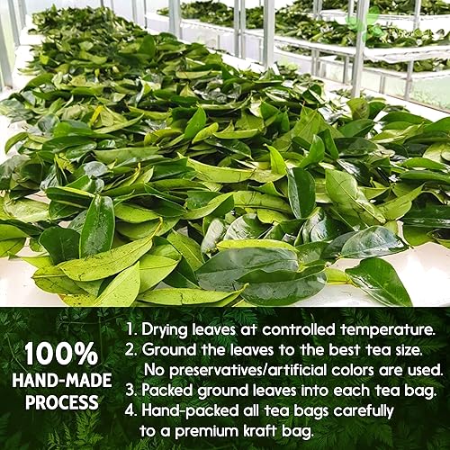 Miniatura 7 de 60 Premium Soursop Graviola Leaf Tea Bags, Pure, Organic, Non-Gmo, Handmade, Made With Natural Materials-Corn Fiber Tea Bag, Made Of 100% Soursop