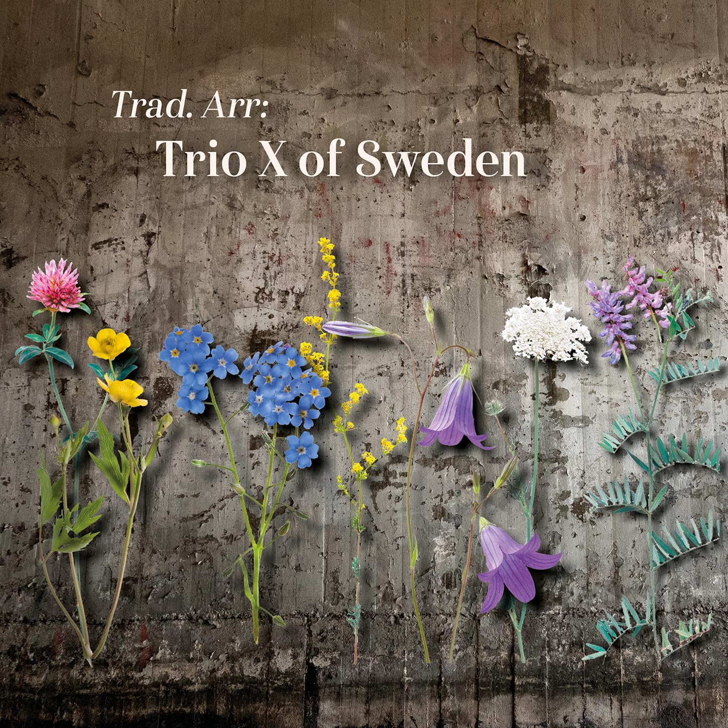 Trad. Arr: Trio X of Sweden