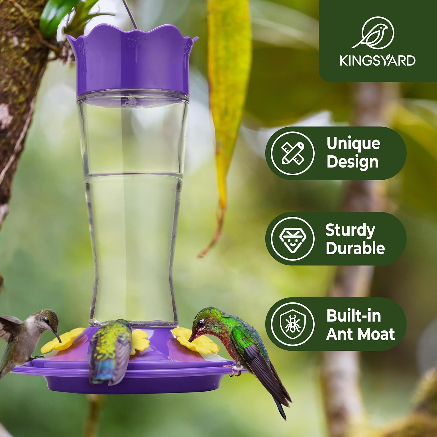 Kingsyard Glass Hummingbird Feeder for Outdoors Hanging - 6 Bee Guard Feeding Ports & Built-in Ant Moat, Wild Bird Feeder for Outside Garden Yard Patio 14 Oz, Updated Purple - Image 2