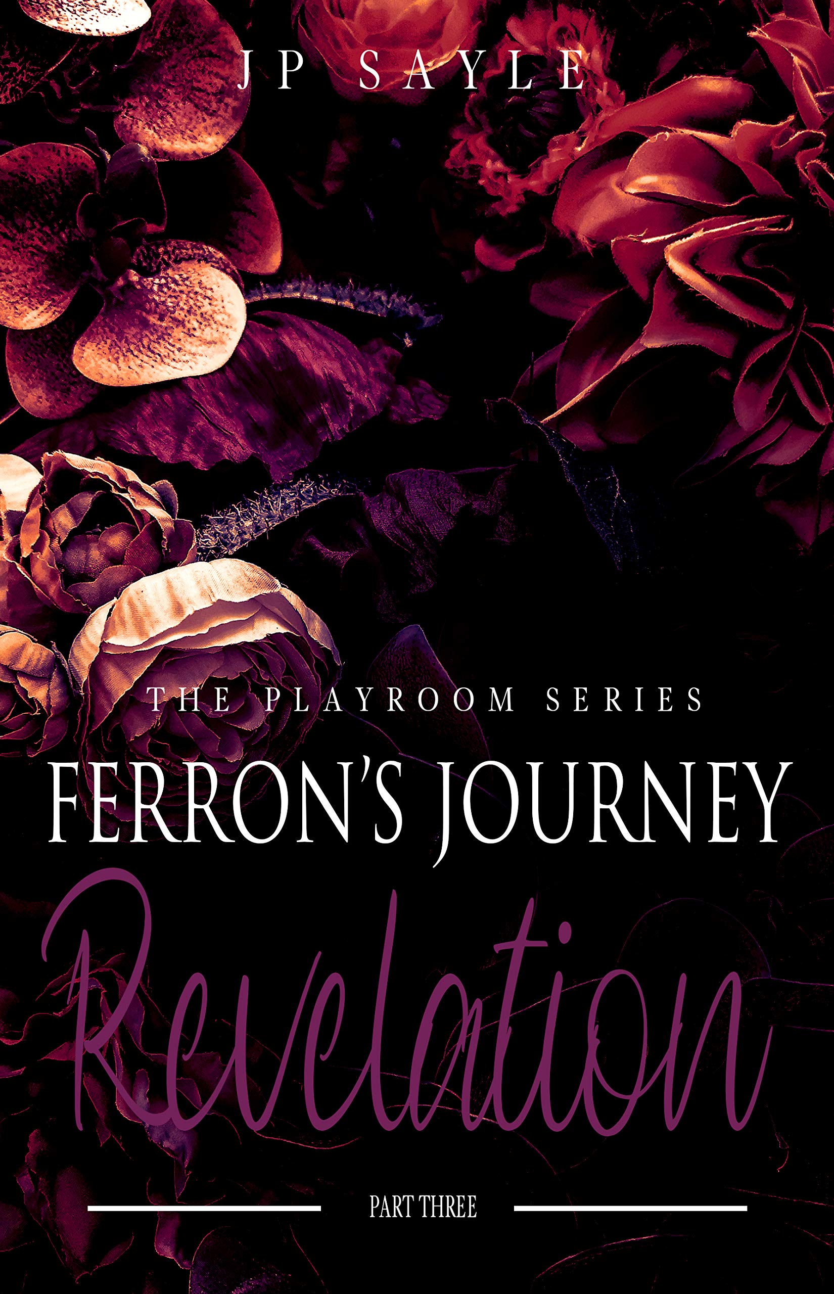 Ferron's Journey Part Three: Revelation: MM Suspense Romance: Age Gap (The Playroom Book 6)