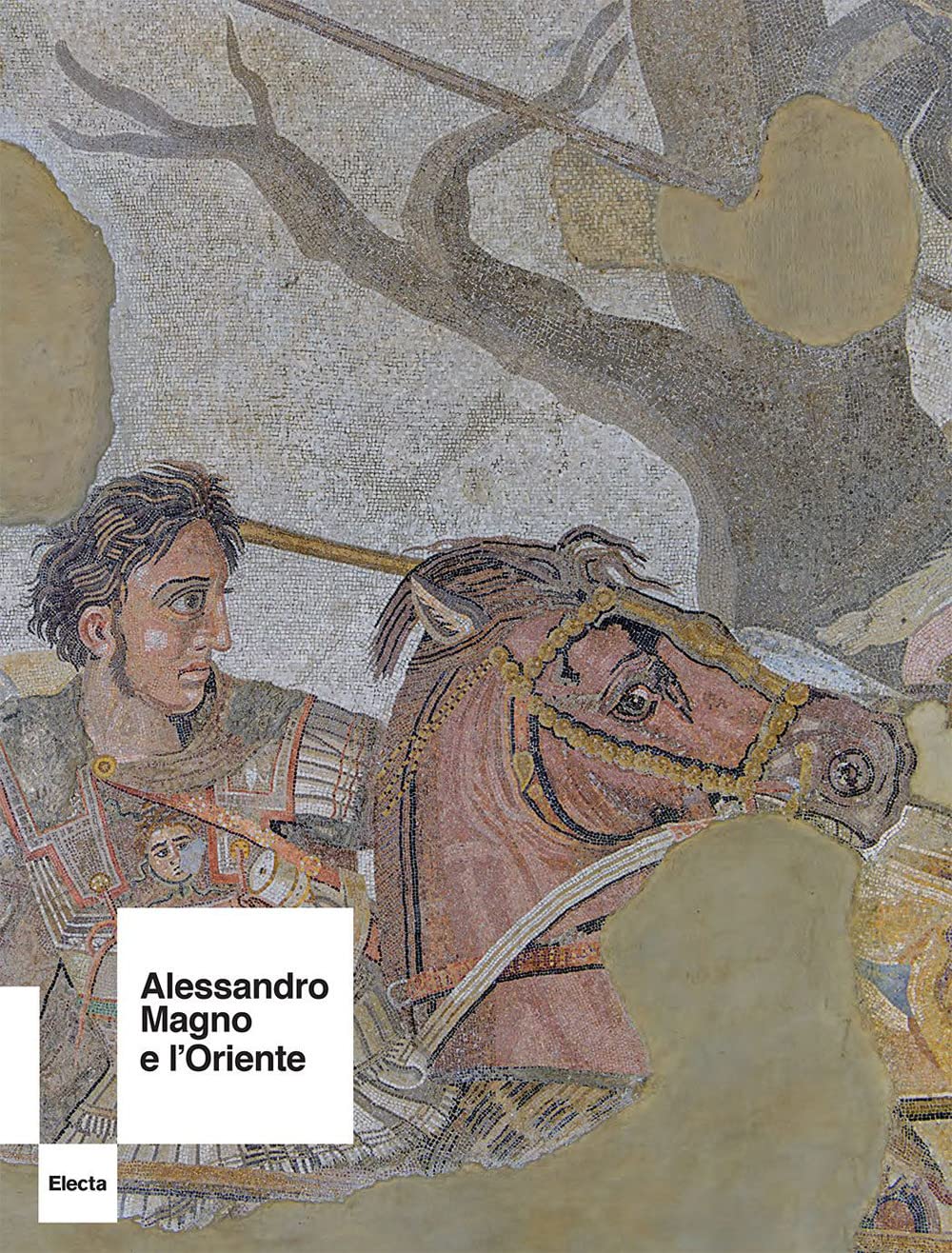Alessandro Magno E L'oriente. Ediz. A Colori - 4