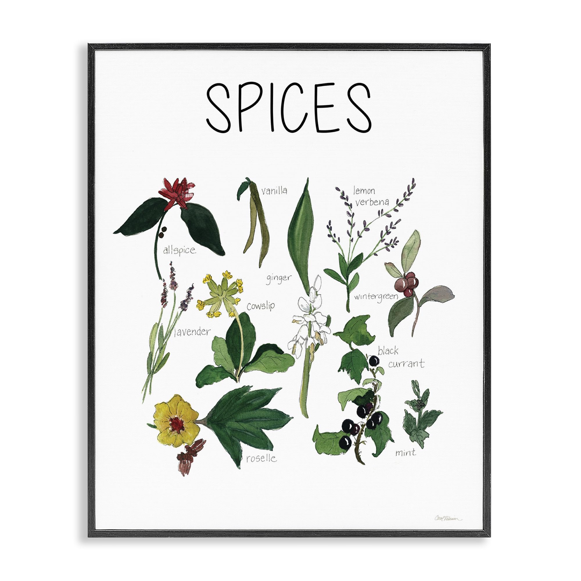 Stupell Industries Midnight Black (Textured) Spices Identification Chart Botanical, 24 X 30 Inch Framed Giclée Print