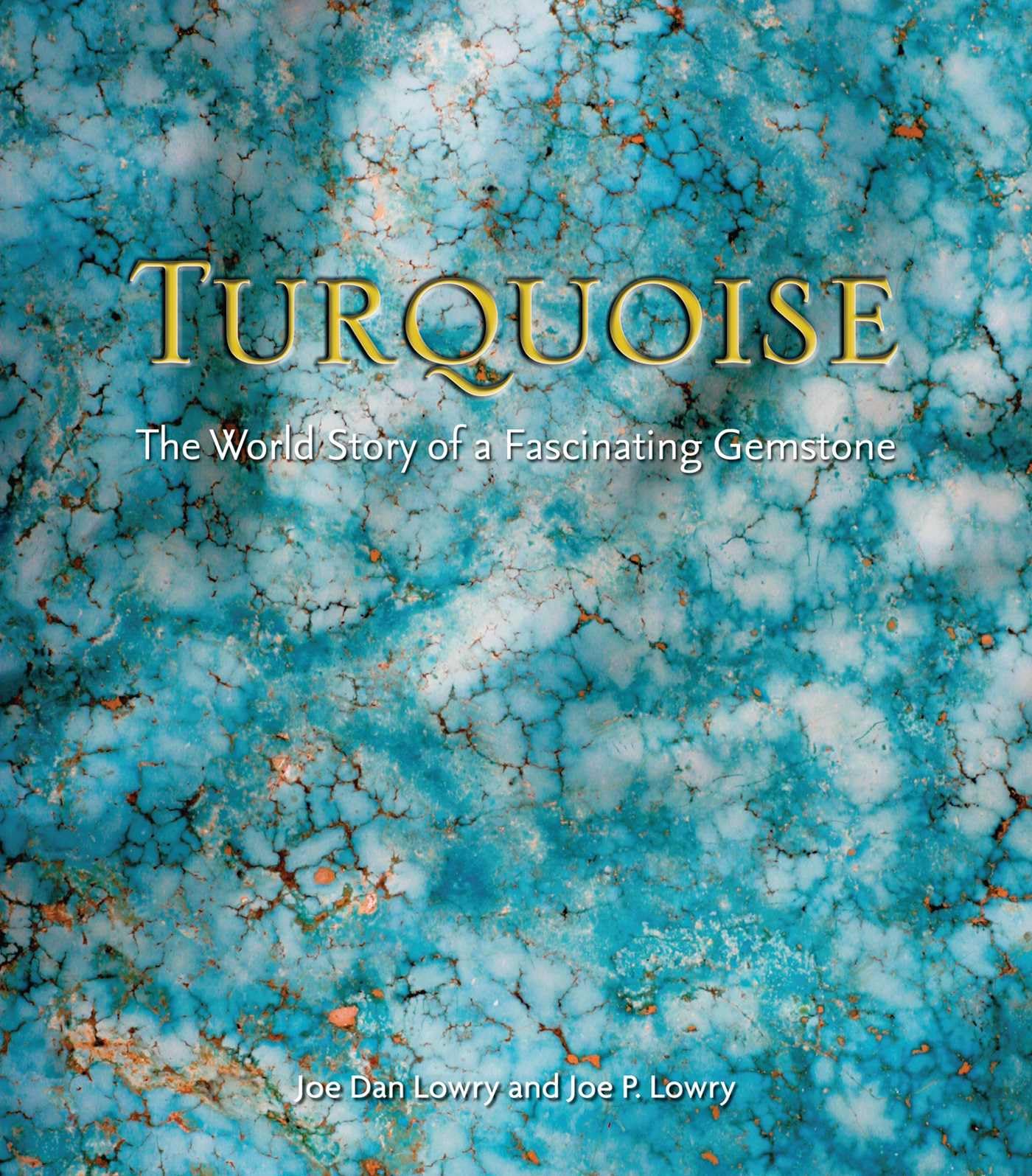 Turquoise English Edition beau livre à offrir à un amateur de lecture originale