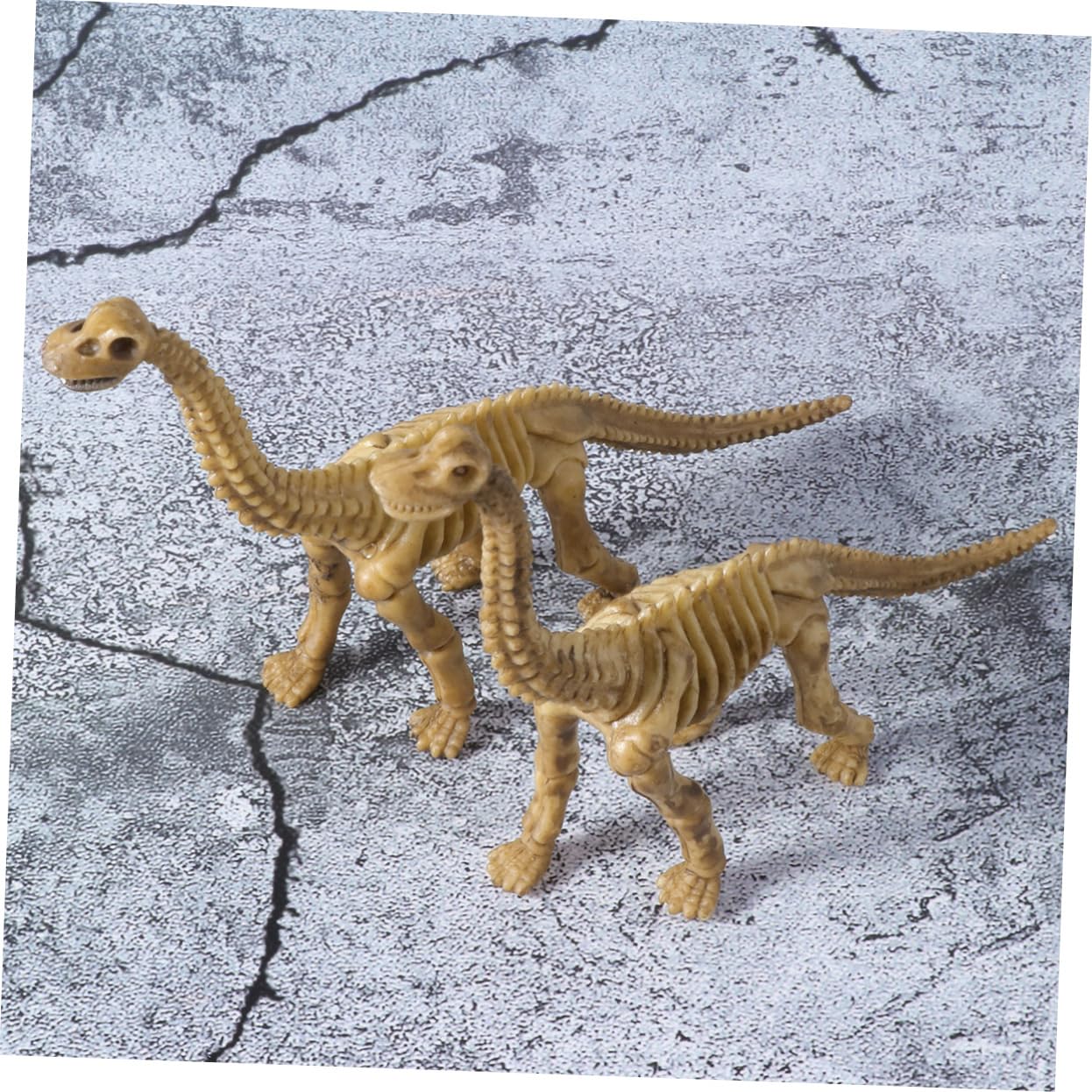 Abaodam 36 Pz scheletro di dinosauro di simulazione giocattolo dinosauro per bambini giocattoli fossili di scheletro fossile di giocattoli per bambini