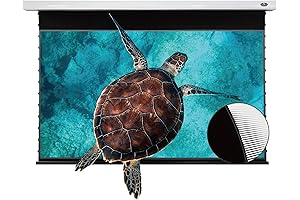 VIVIDSTORM-Projector PRO S Screen,Compatible with UST Laser Projector,VMSLUST84H