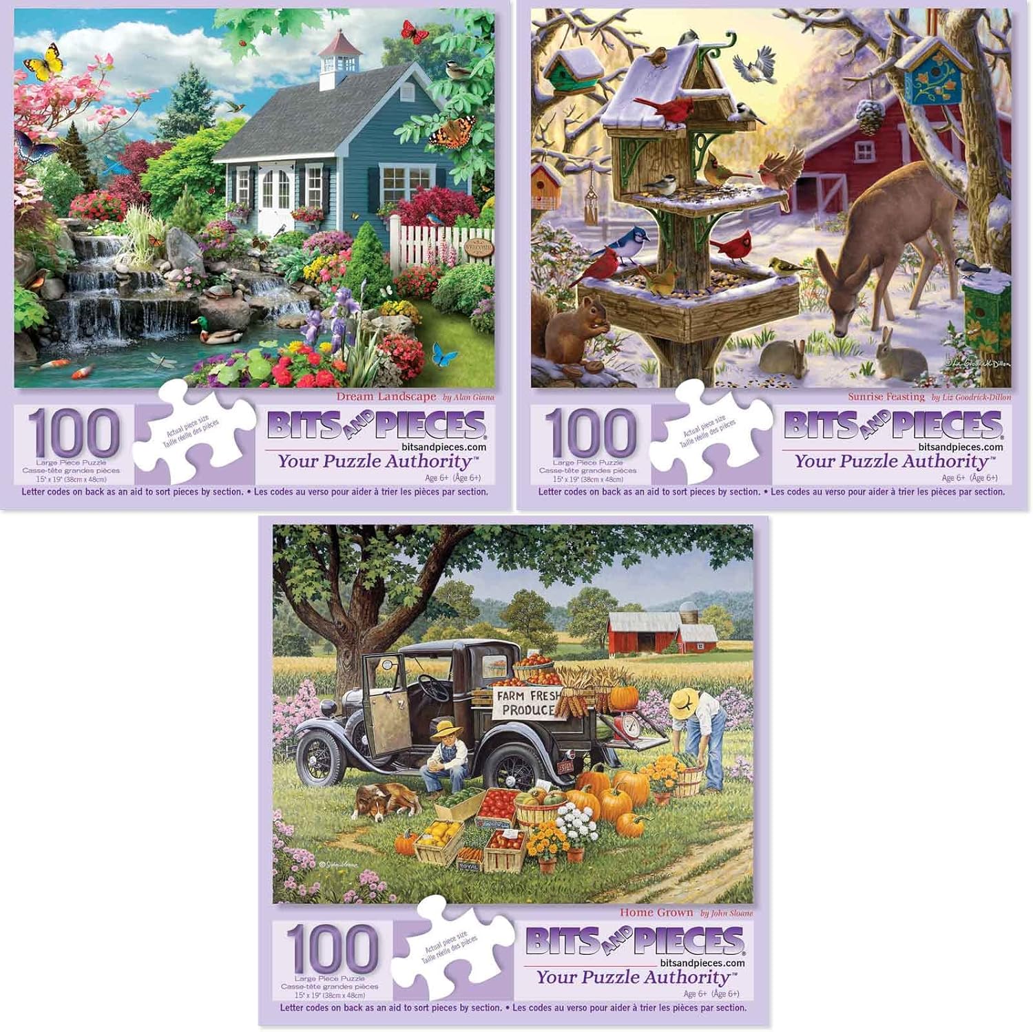 Bits and Pieces Value Set of Three (3) 100 Piece Big