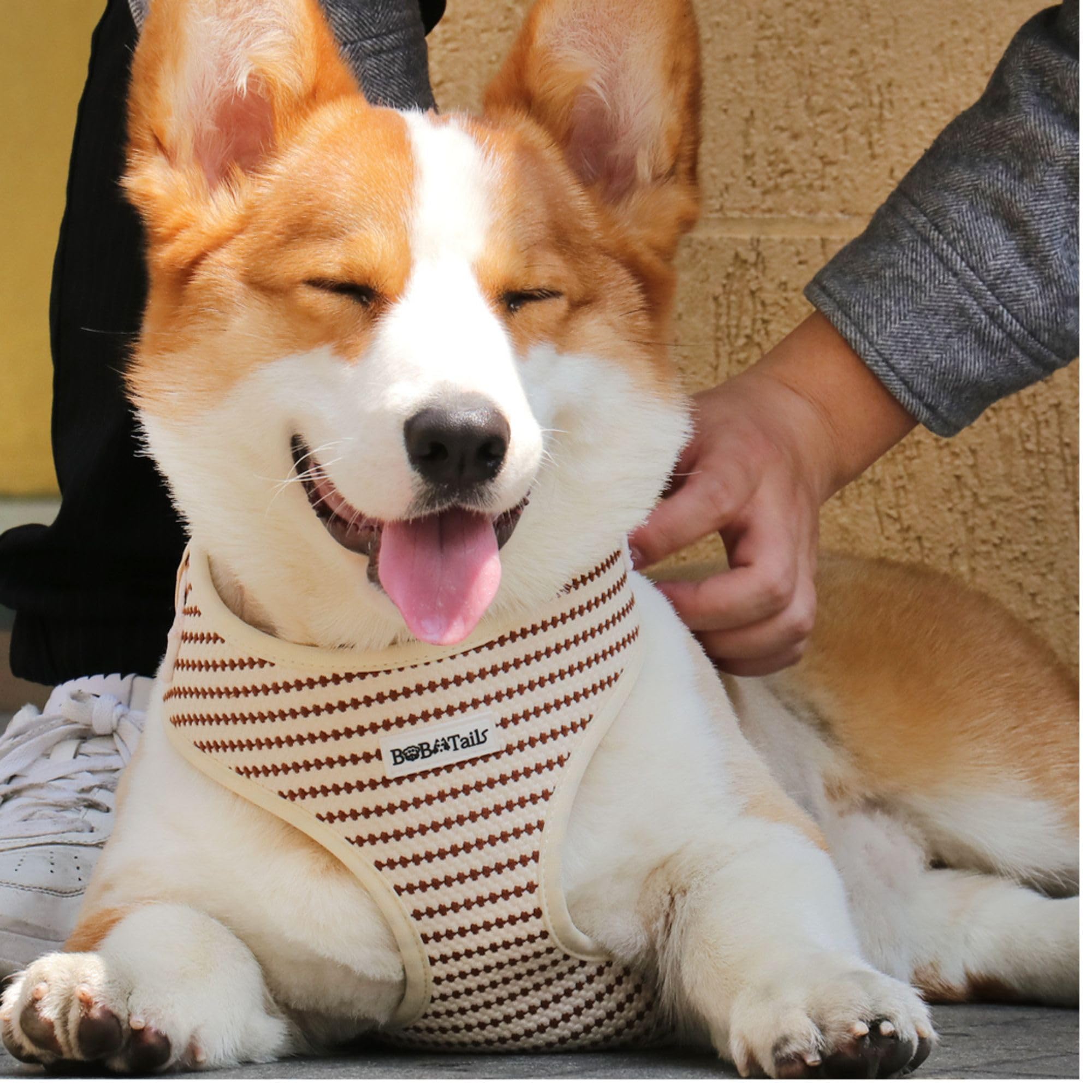 Arnés sin tirones para perros pequeños y medianos, chaleco ajustable con clip lateral, suave, transpirable, arneses de moda para caminar, correr, ir de compras (beige, XXS)