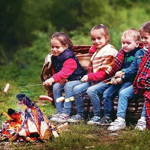 Miniatura 9 de Juego de 8 palos de asar malvaviscos de acero inoxidable para acampar telescópicos palos de malvavisco palos de asar fogata para hoguera