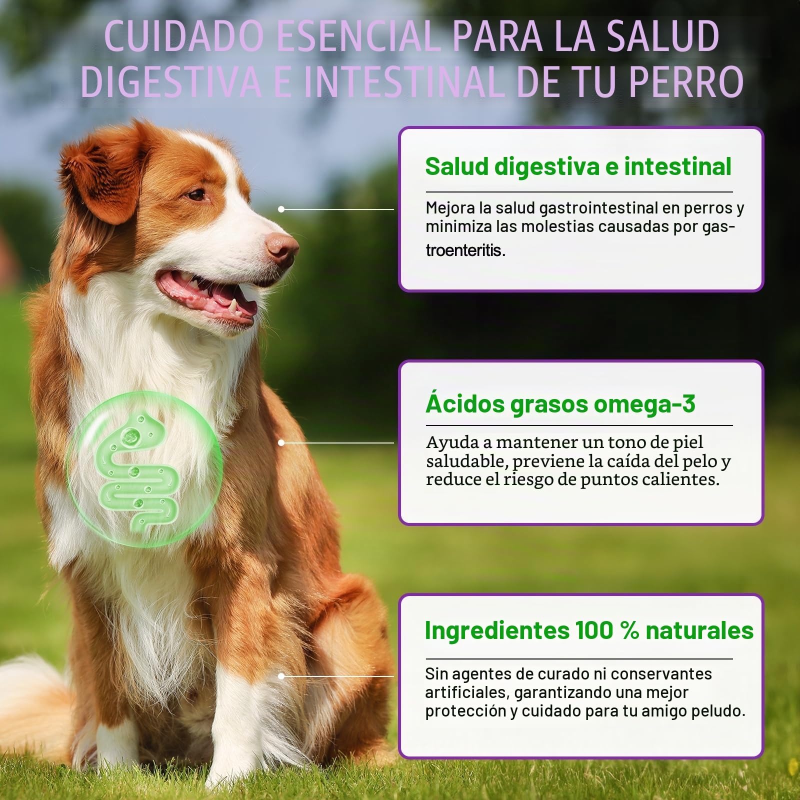 Dog Allergy Relief Treats, Alivio de la alergia en perros, Masticable para fortalecer el sistema inmunitario, Elimina la picazón, el lamido y el rascado, Alergias estacionales, 150 unidades/Pato